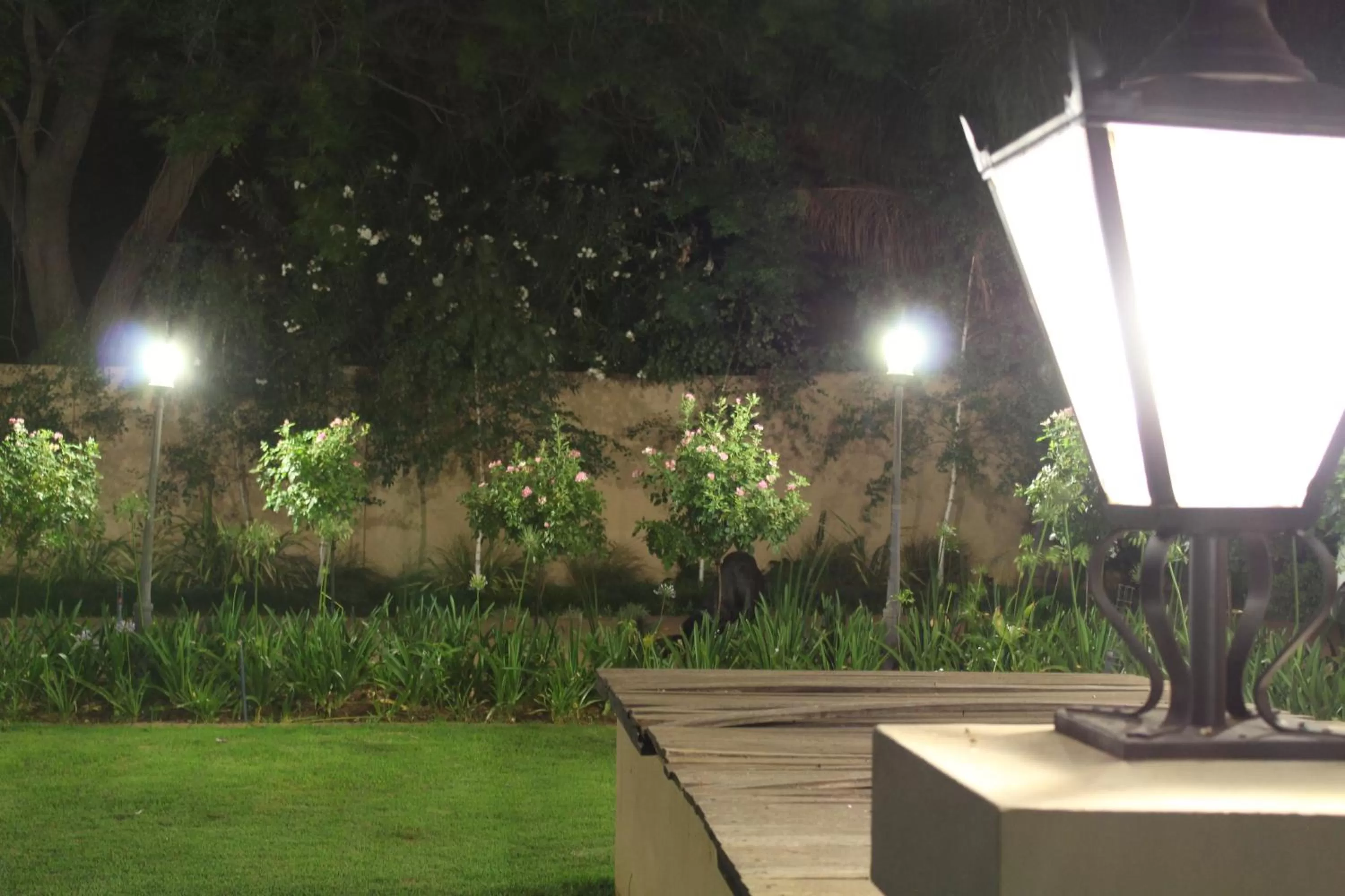 Garden in Villa Palma