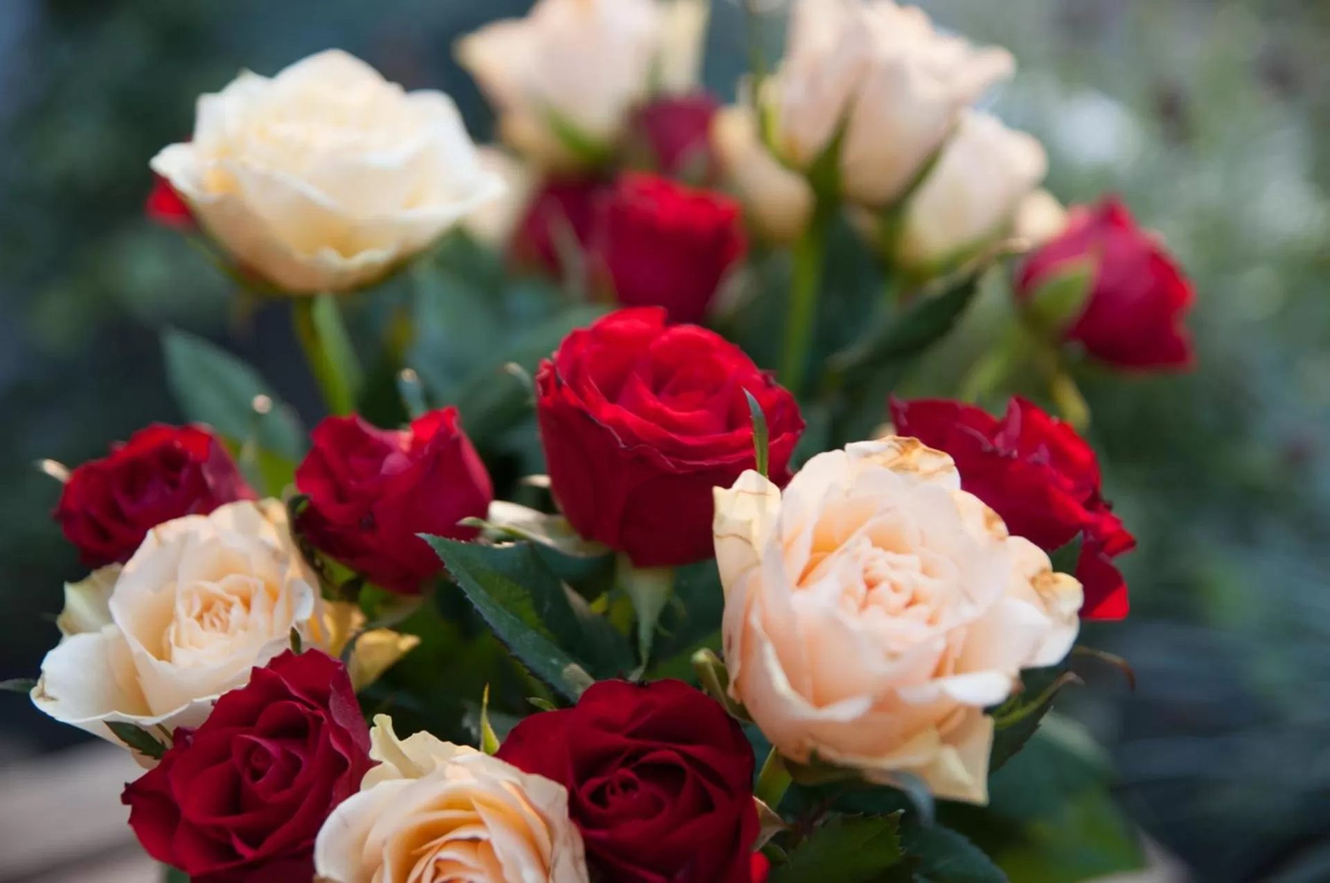 Dining area in also-Hotel an der Hardt