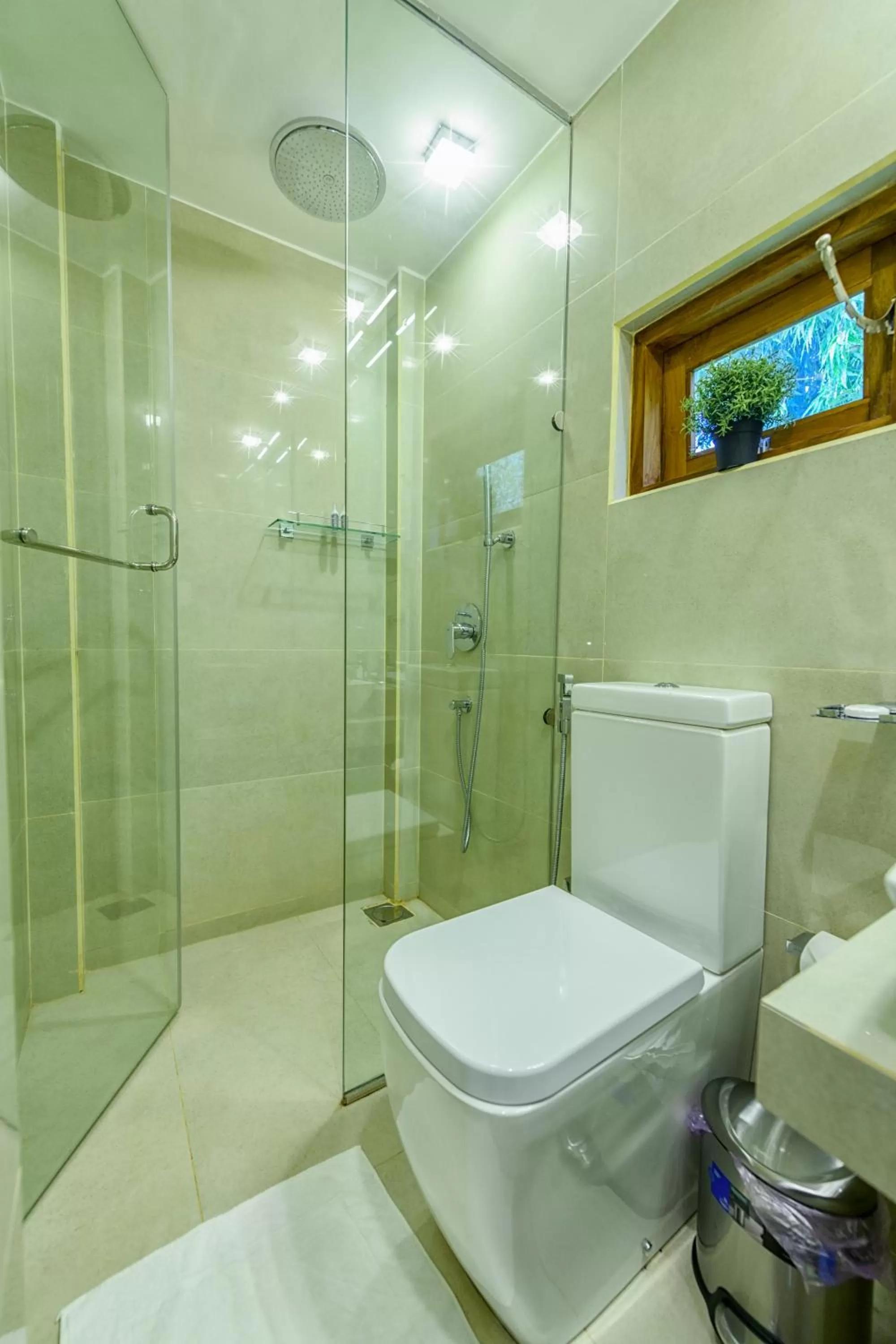 Shower in Aryana Boutique Hotel