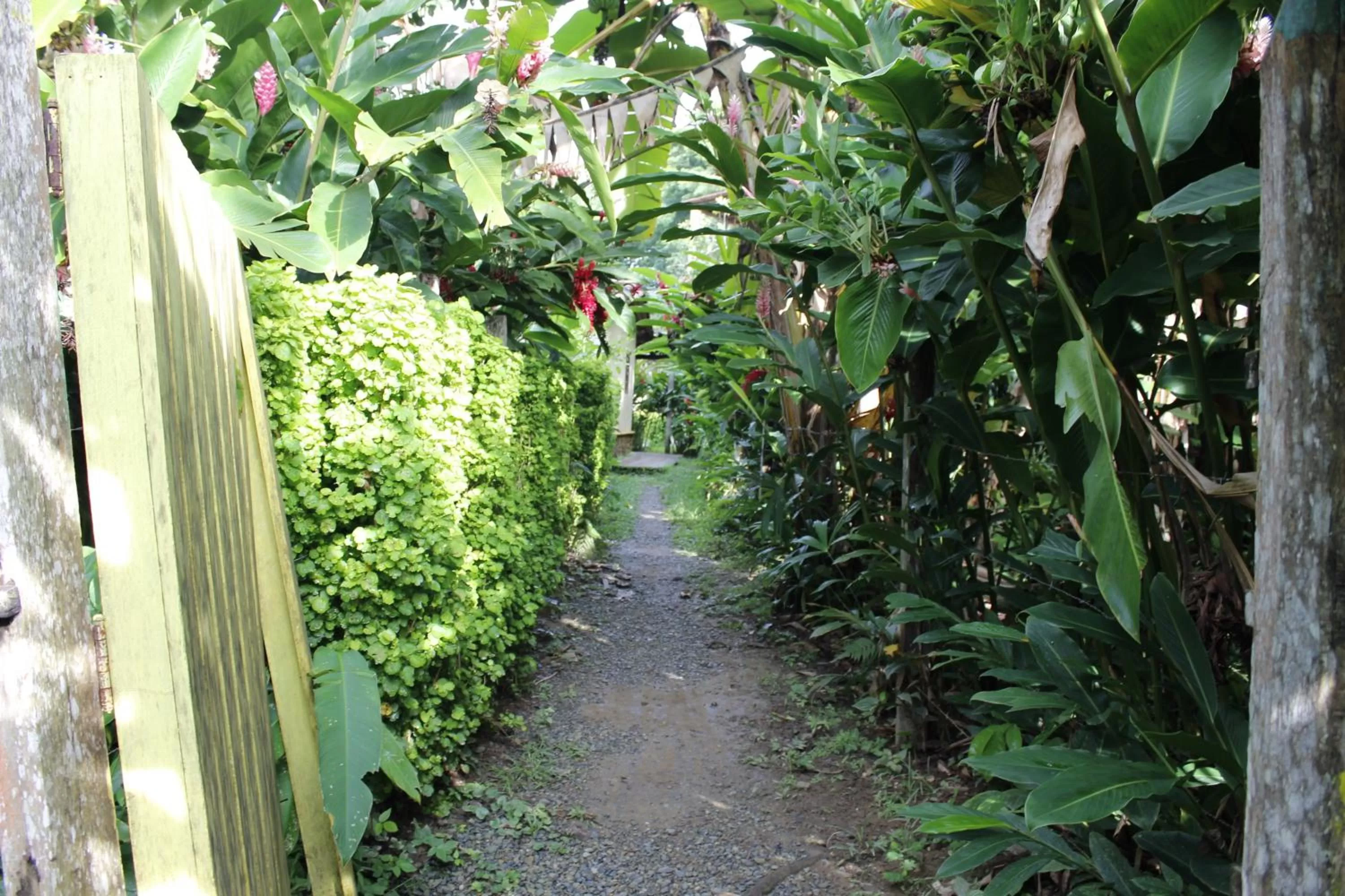 Day, Garden in Los Robles Capurgana