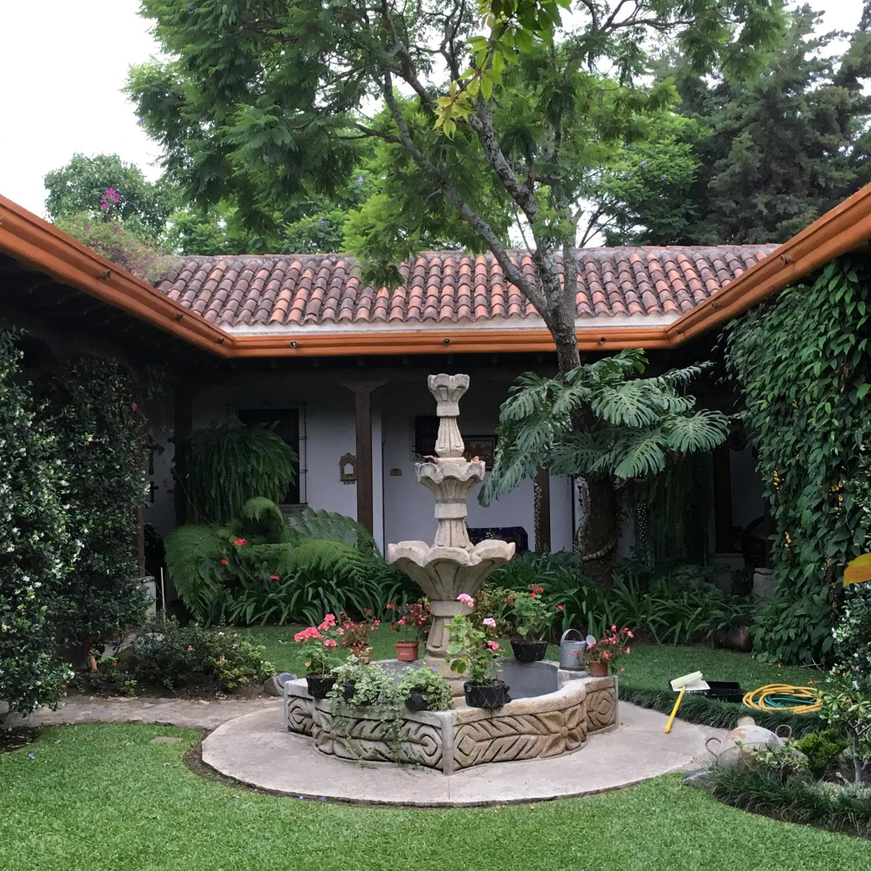 Garden in Hotel Las Marias