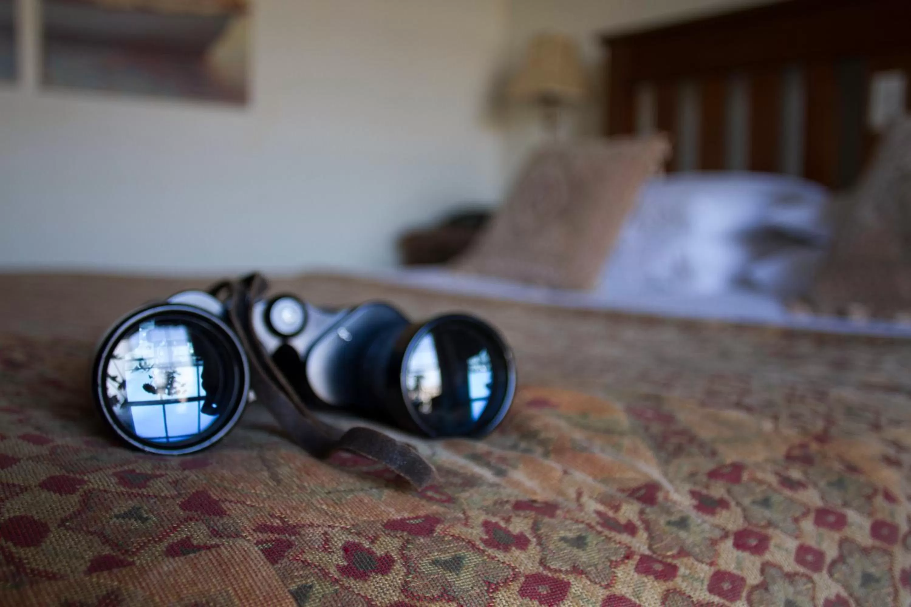 Bed in The Grove Falmouth