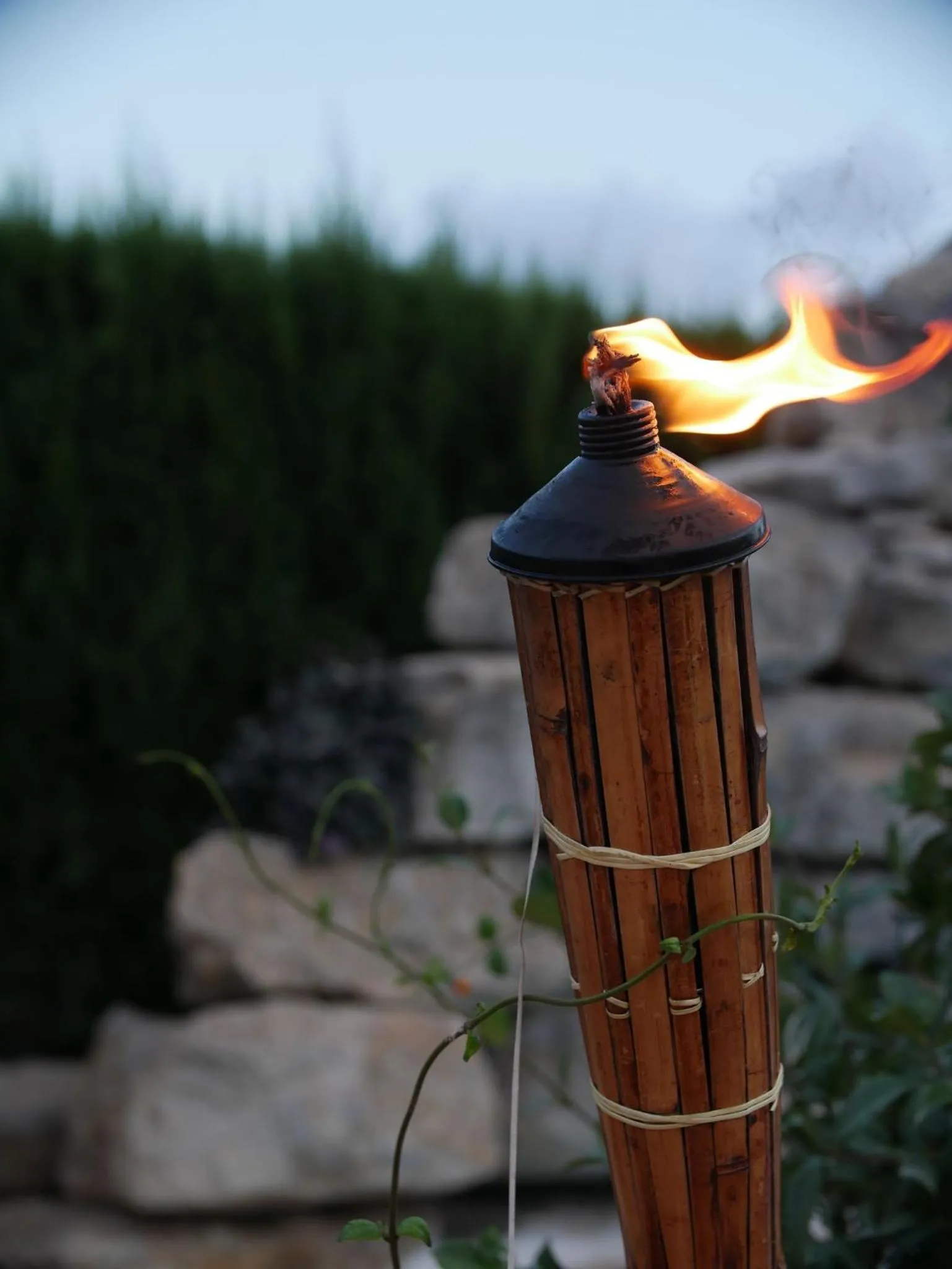 Property building in Boutique Hostal La Curandera de Salinas