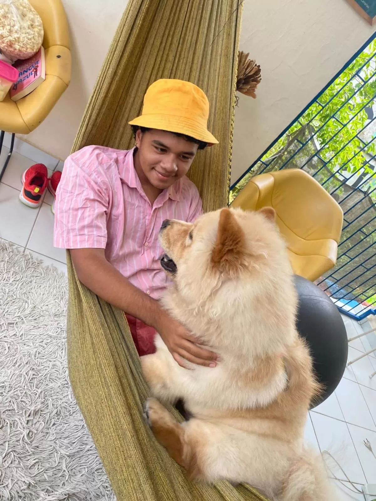 People, Pets in Hostel Das Canárias