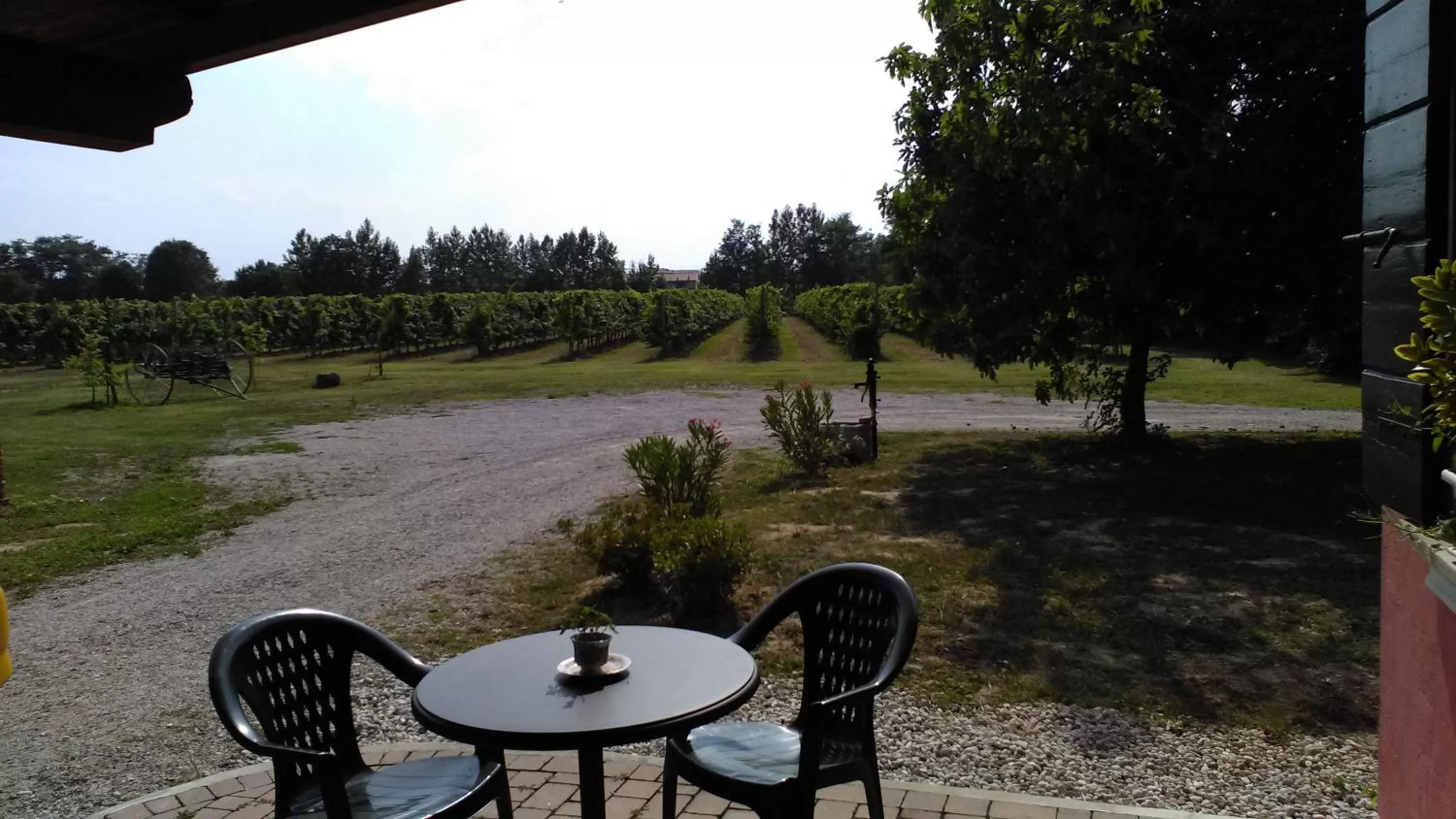 Garden view in AGRITURISMO Barone Rosso