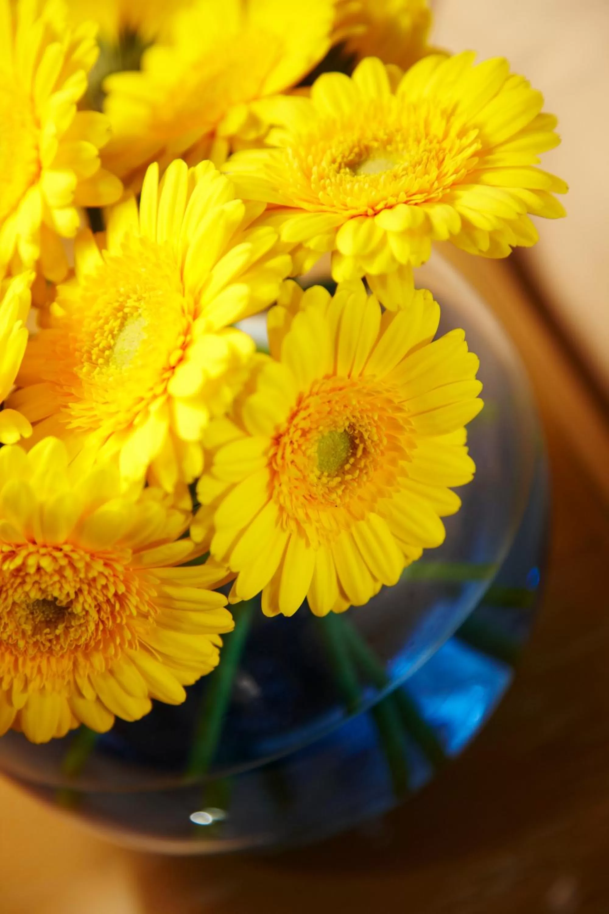 Decorative detail in Norfolk Royale Hotel
