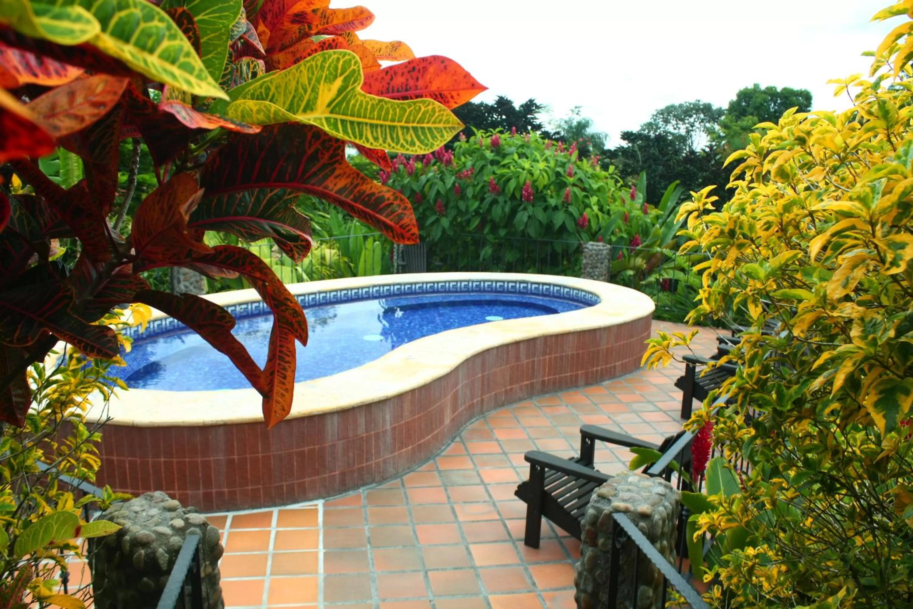 Swimming pool in Volcano Lodge, Hotel & Thermal Experience