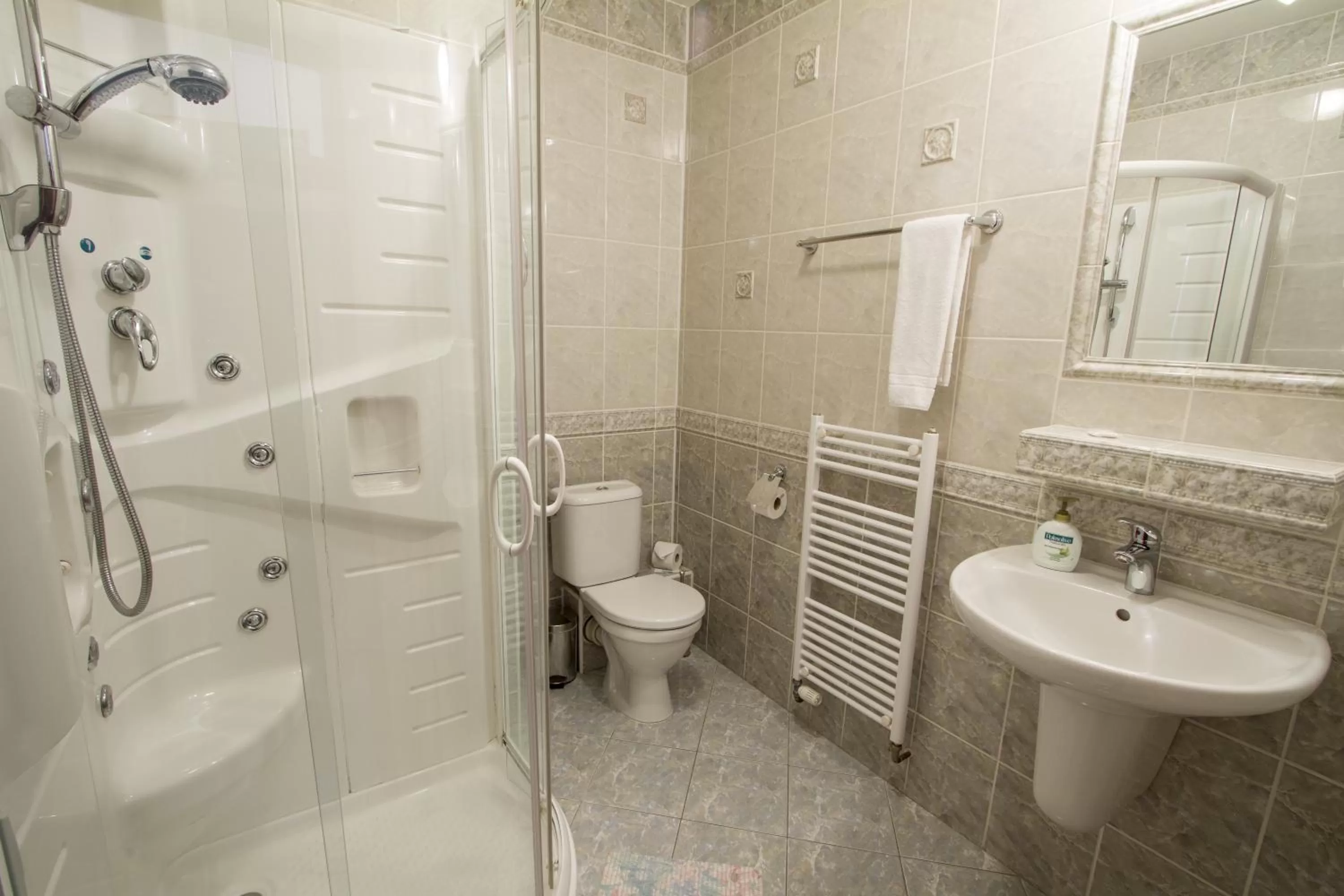 Shower, Bathroom in Hotel Grand