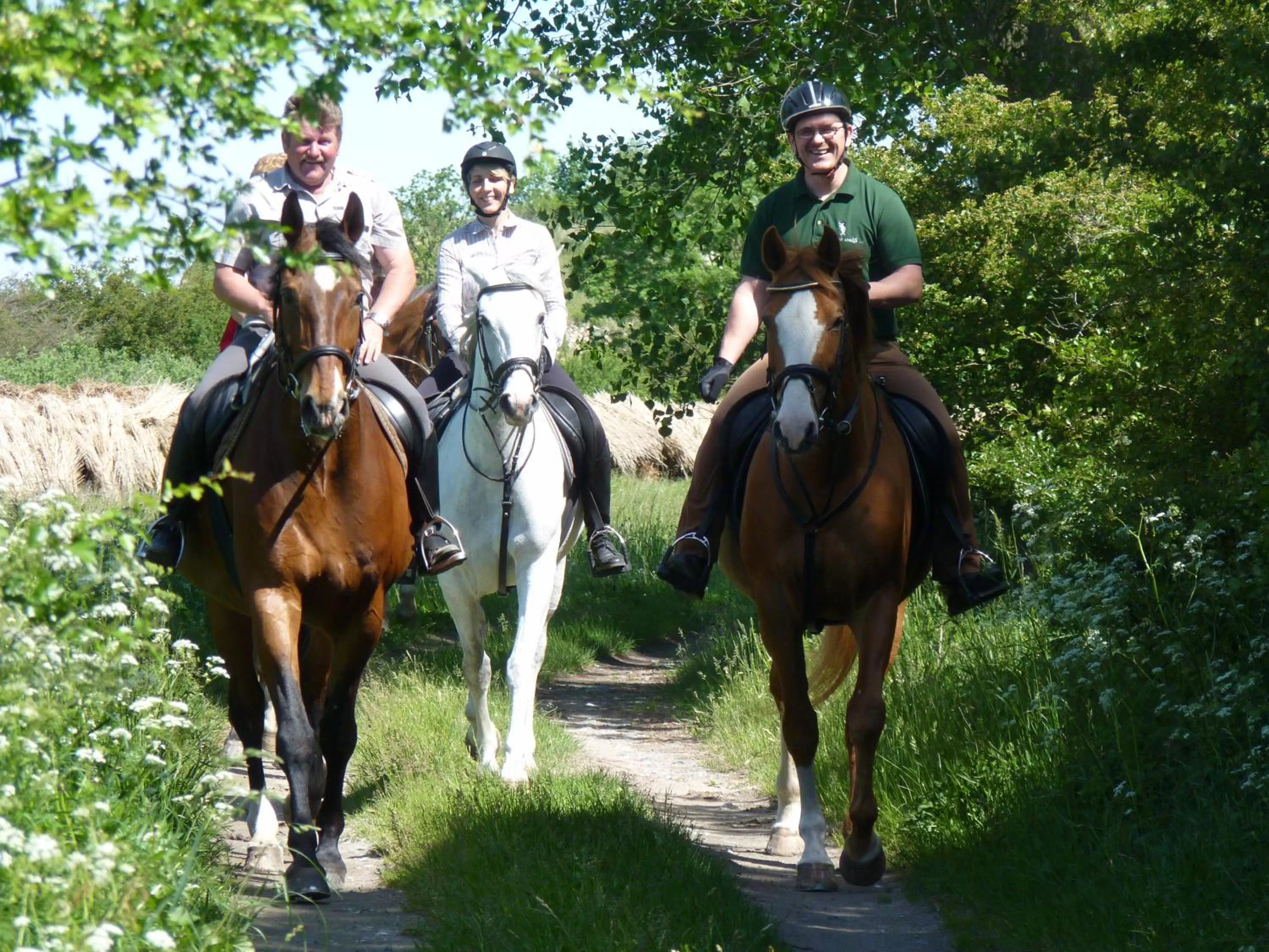 Horse-riding, Horseback Riding in Hotel Am Markt