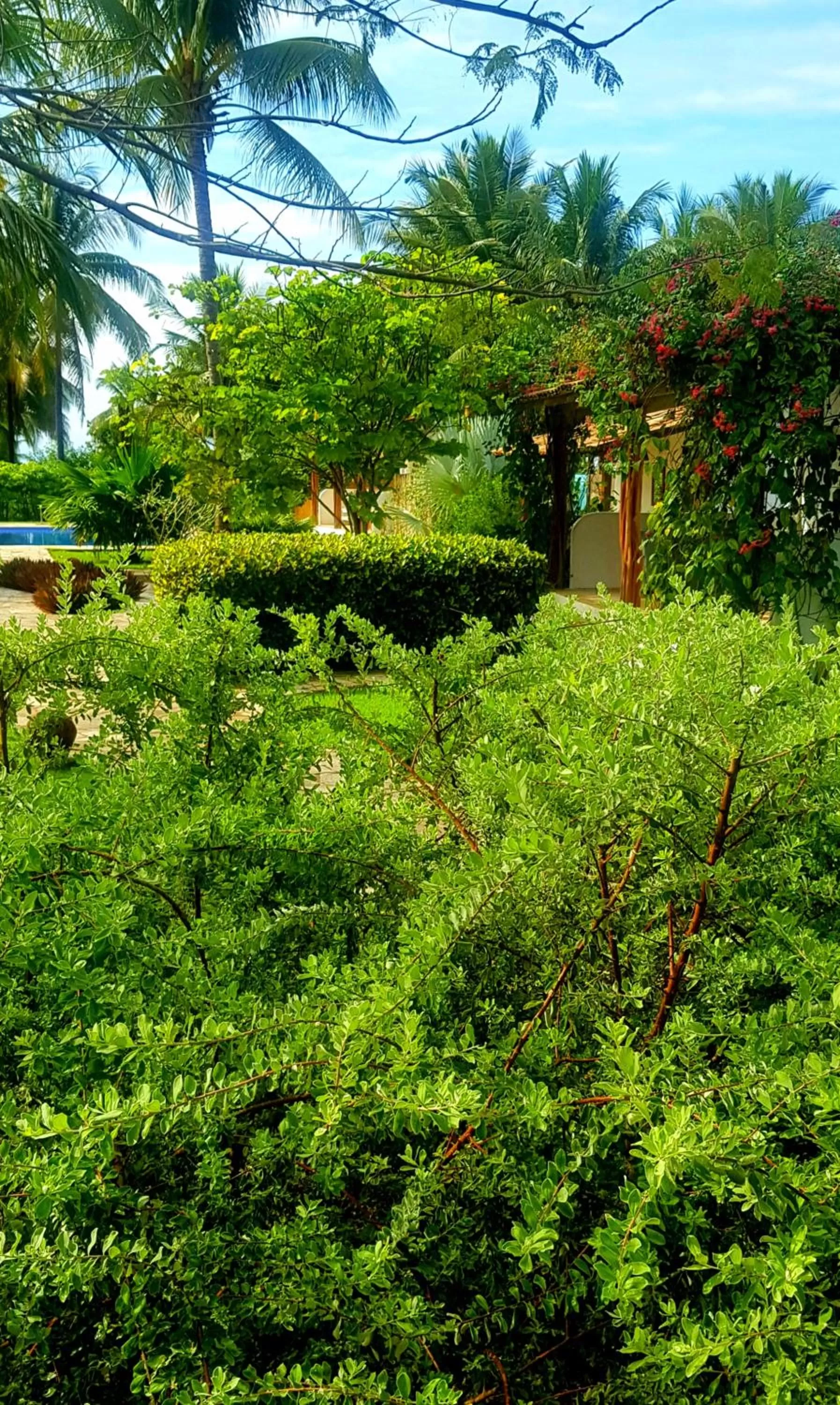Garden in Pousada Villages Boutique Hotel