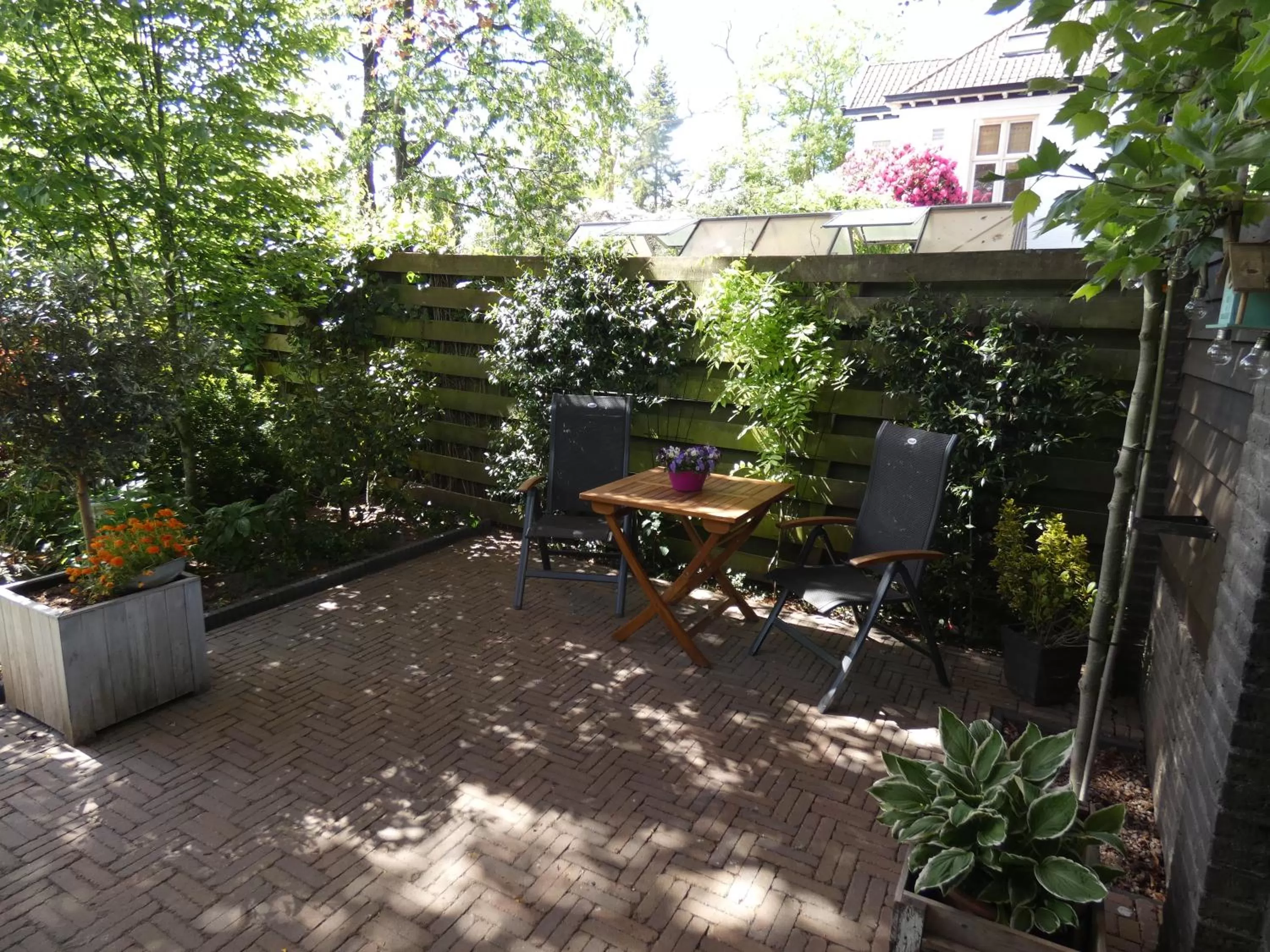 Garden in B&B Onder de rode beuk