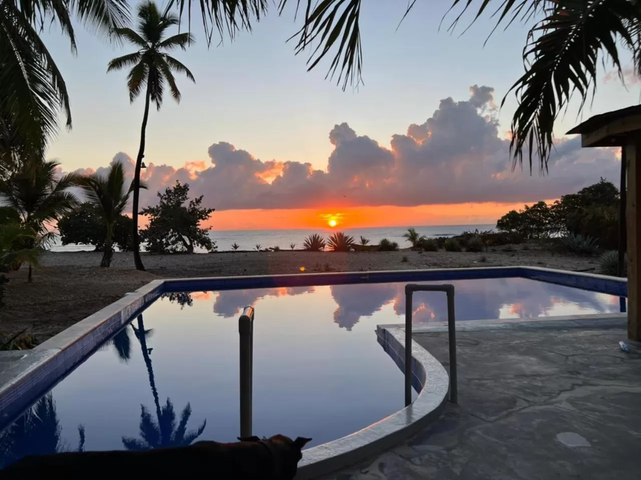 Property building, Sunrise/Sunset in Hotel Al Mare