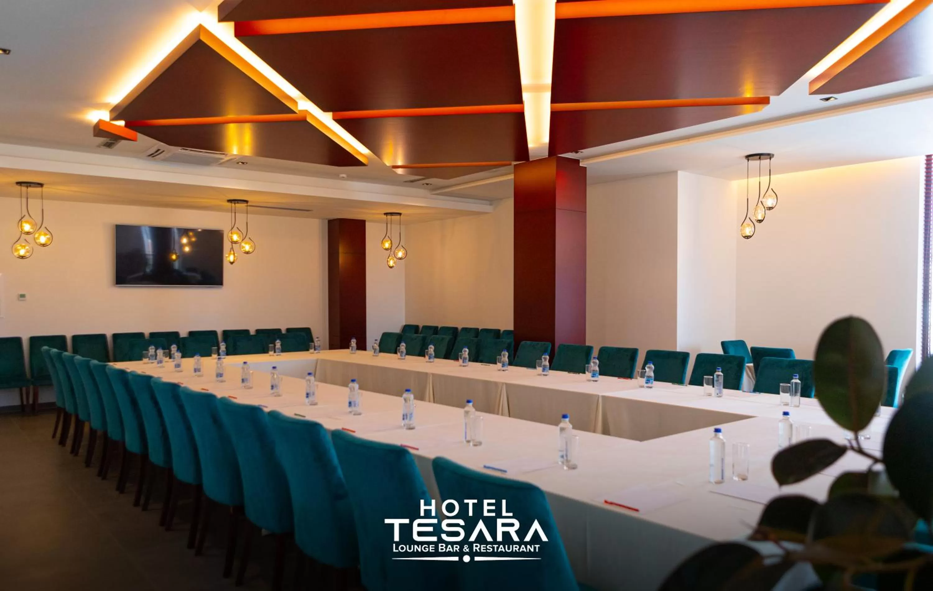 TV and multimedia in Hotel Tesara