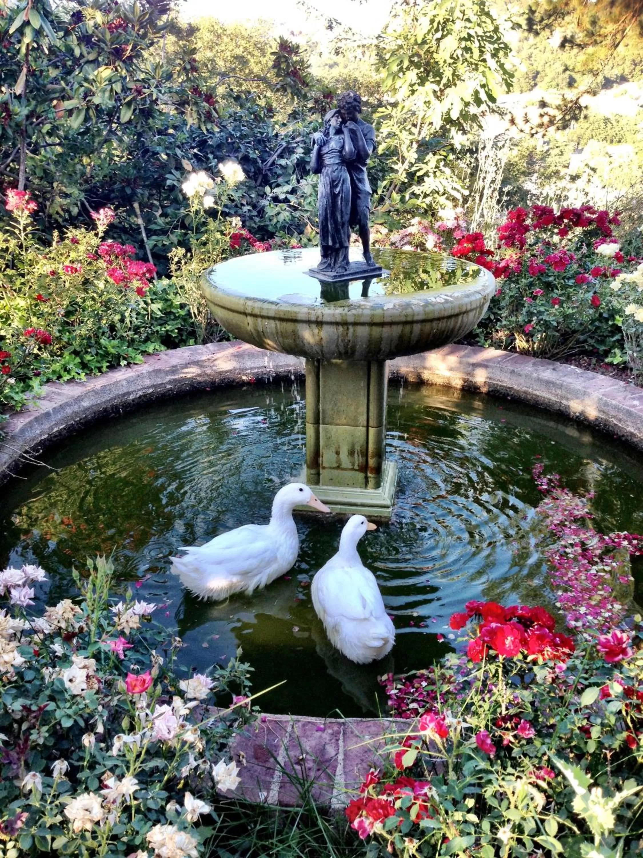Garden in The Inn on Knowles Hill Bed & Breakfast Hotel