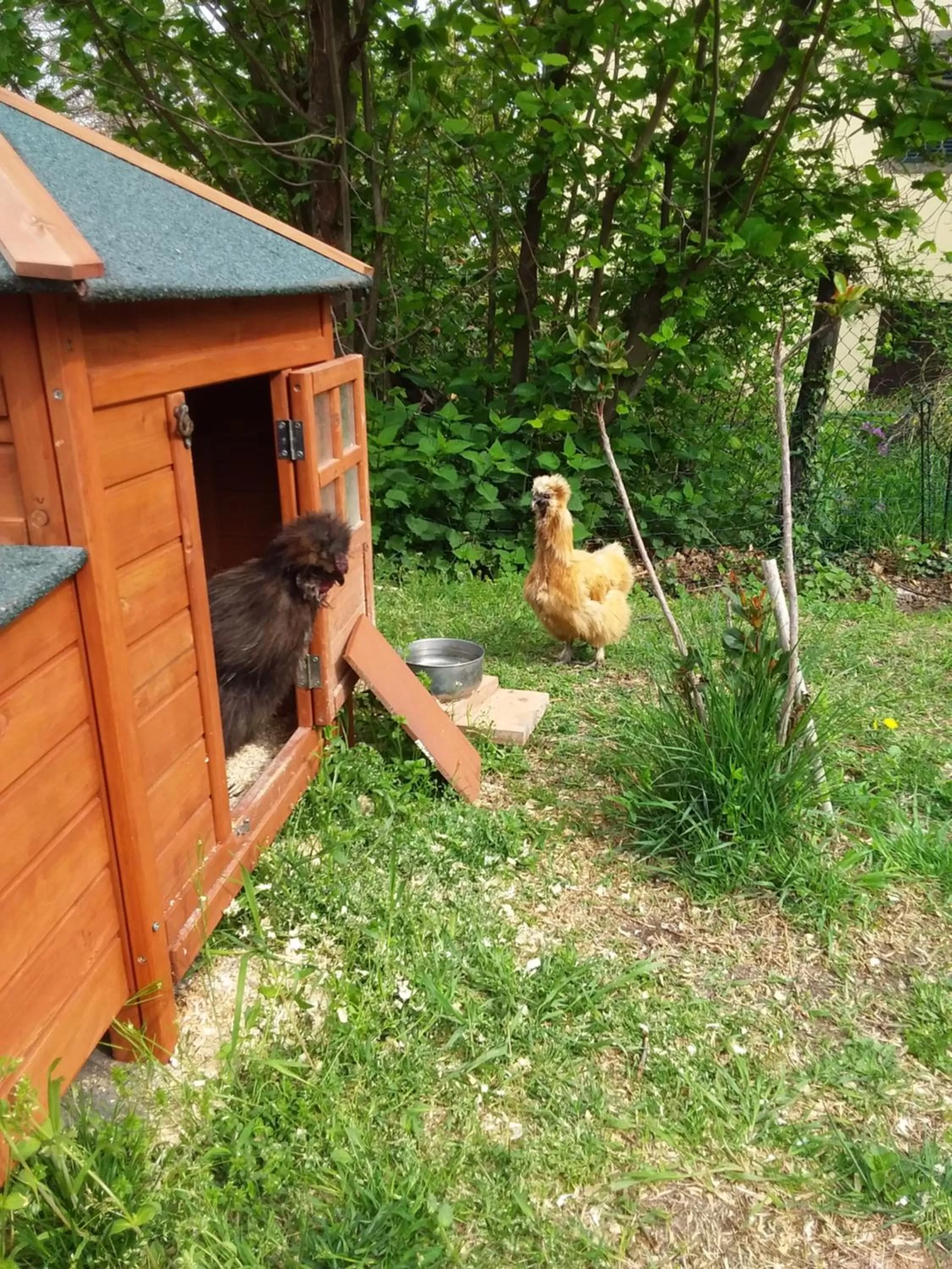 Garden in B&B Podere Legnotorto