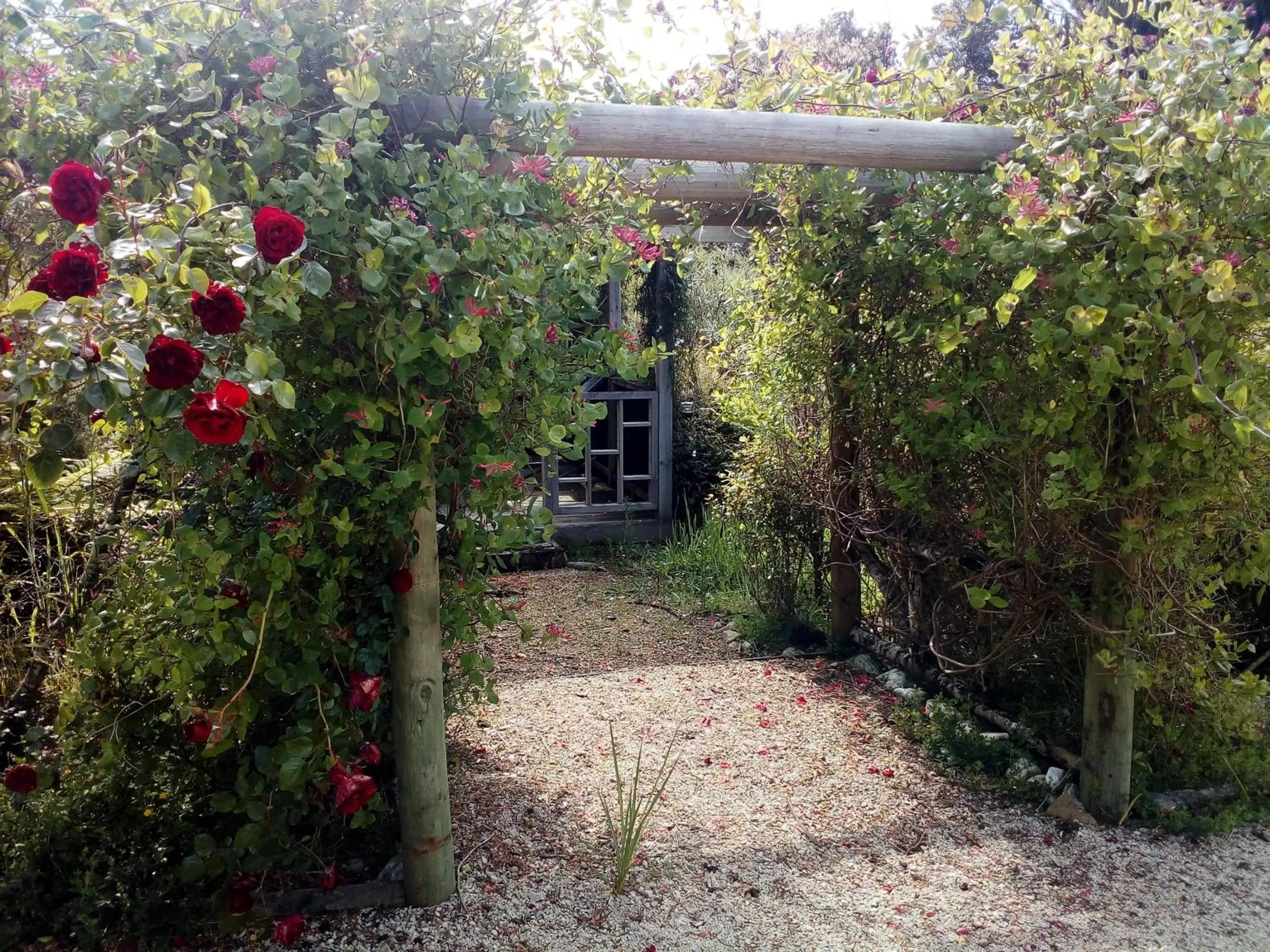 Garden in Mahinapua Retreat B&B