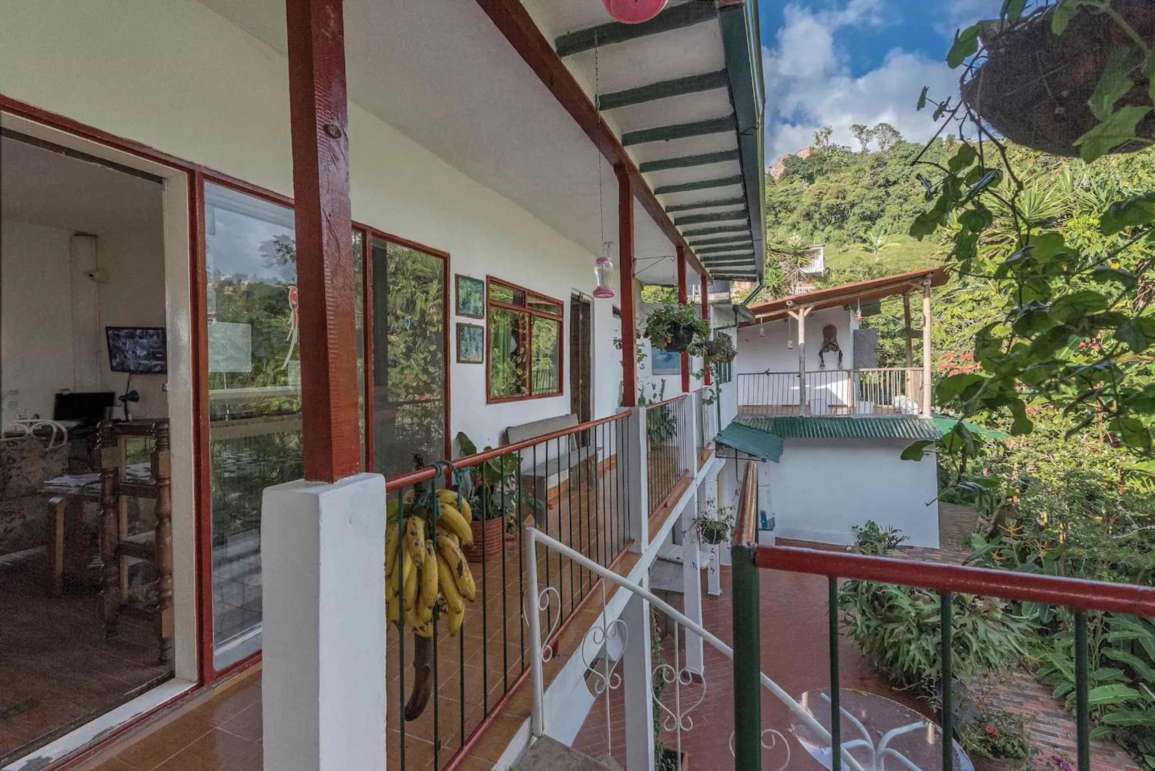 Patio, Balcony/Terrace in Eco Lodge La Juanita
