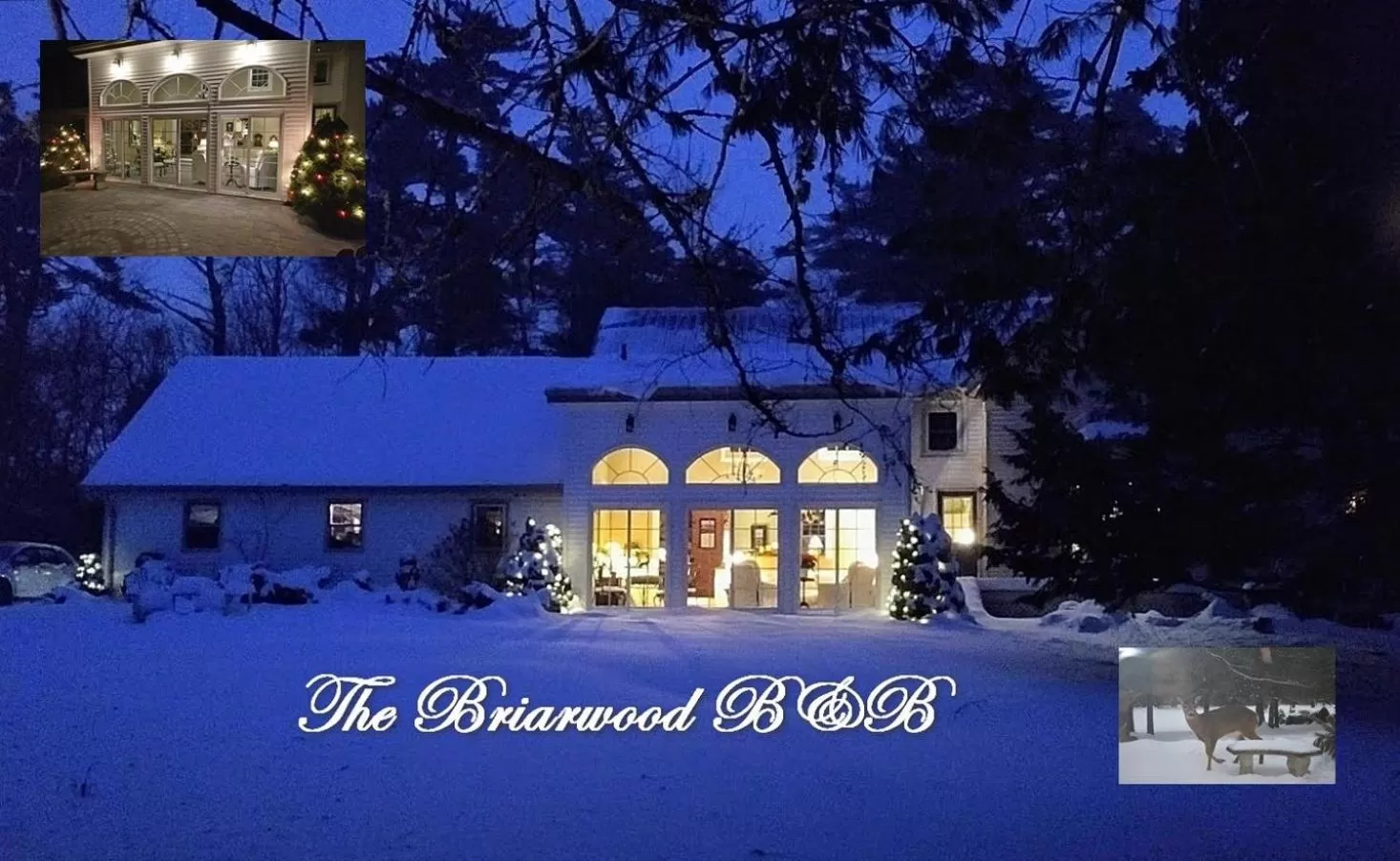 Briarwood Bed & Breakfast