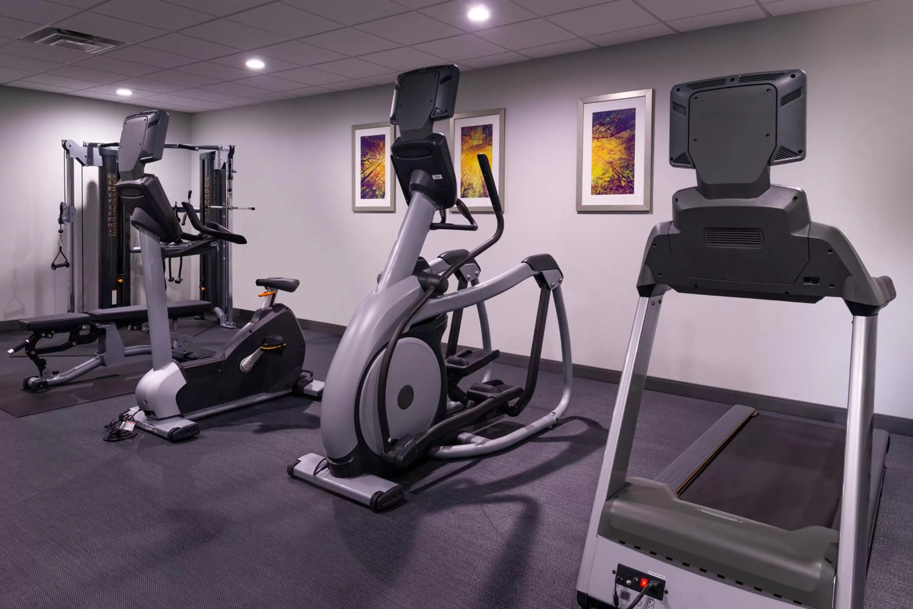 Fitness centre/facilities in Staybridge Suites - Lake Charles by IHG