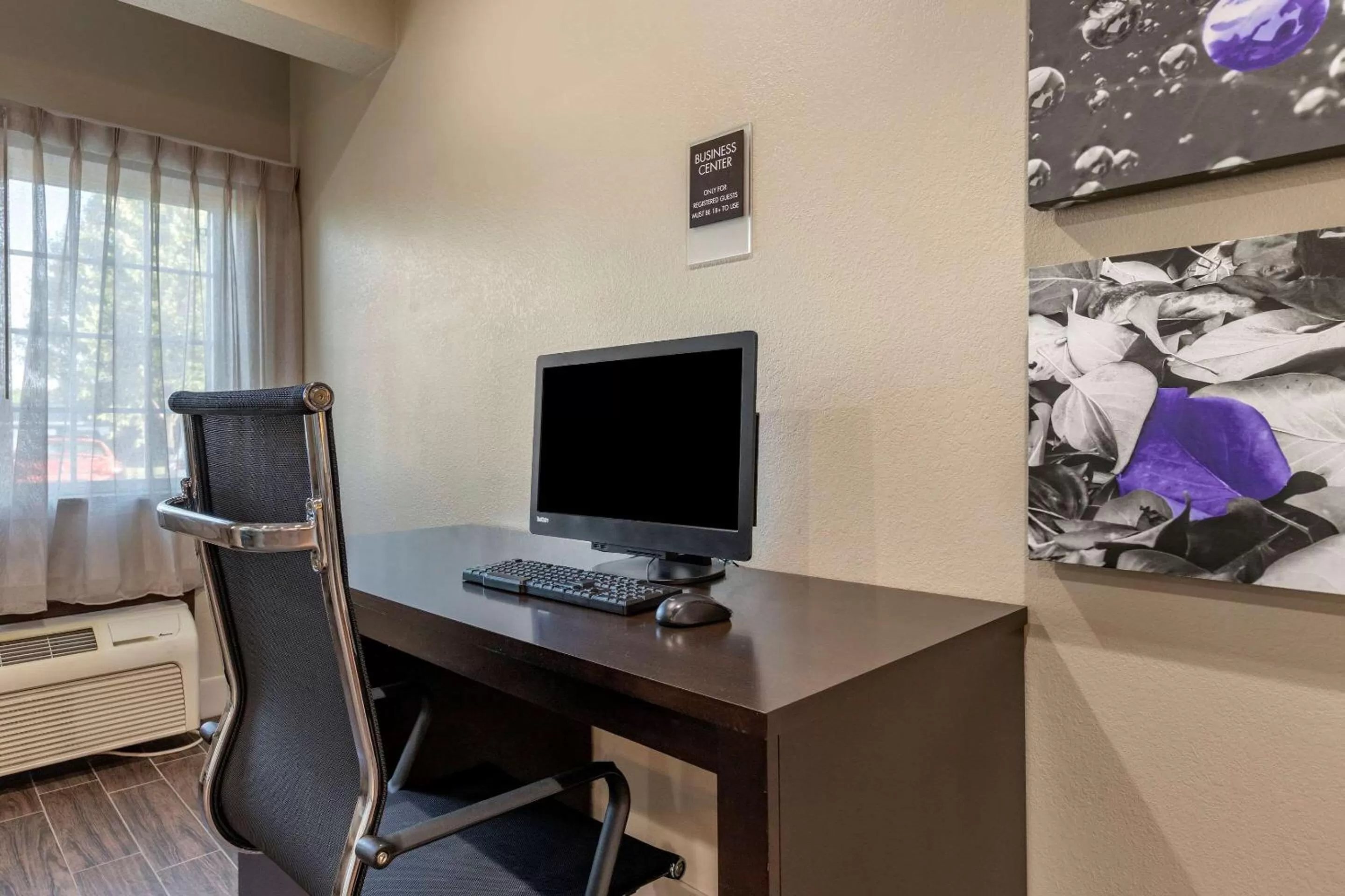 Business facilities in Sleep Inn & Suites Kalamazoo Southwest