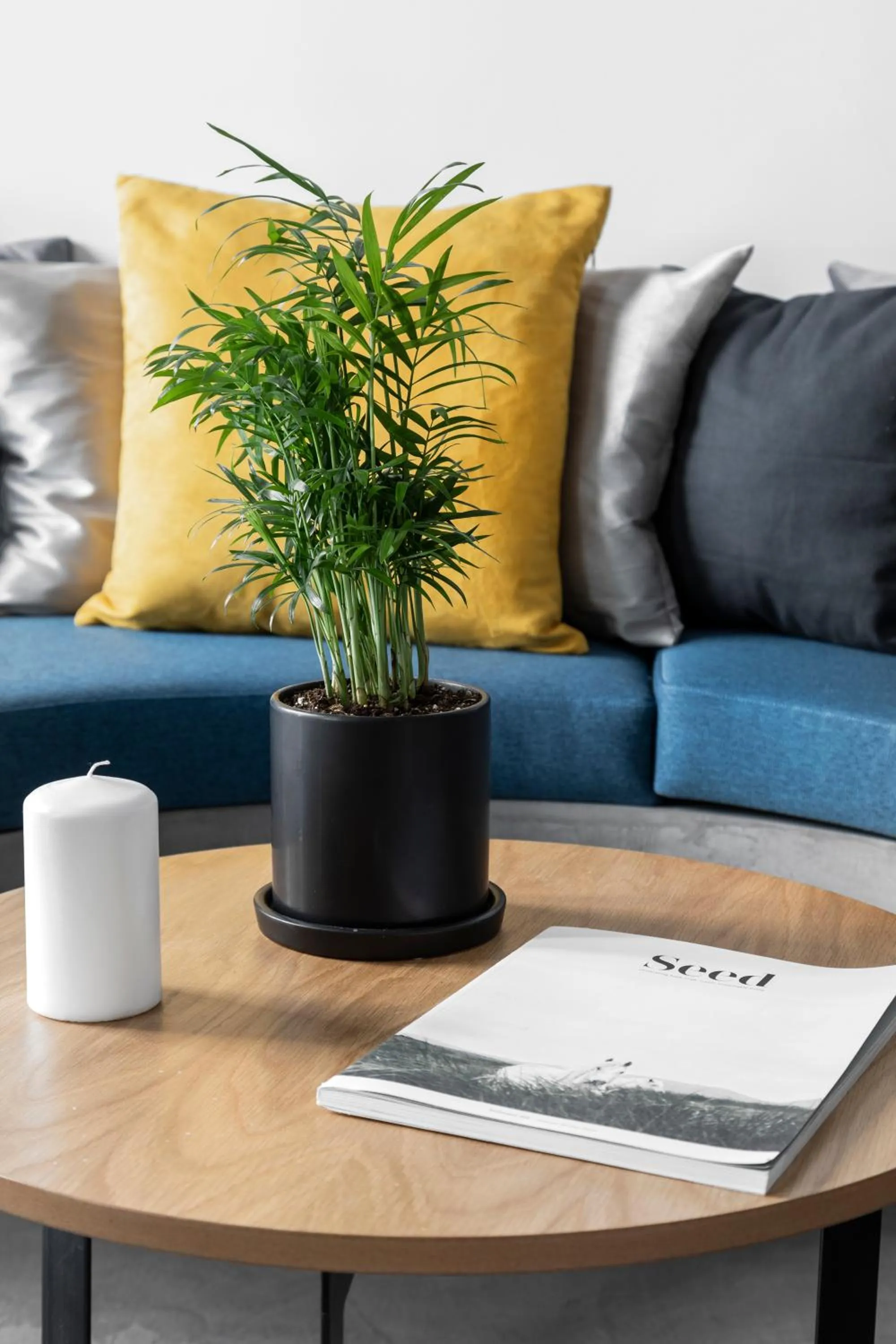 Living room in Melo Athens