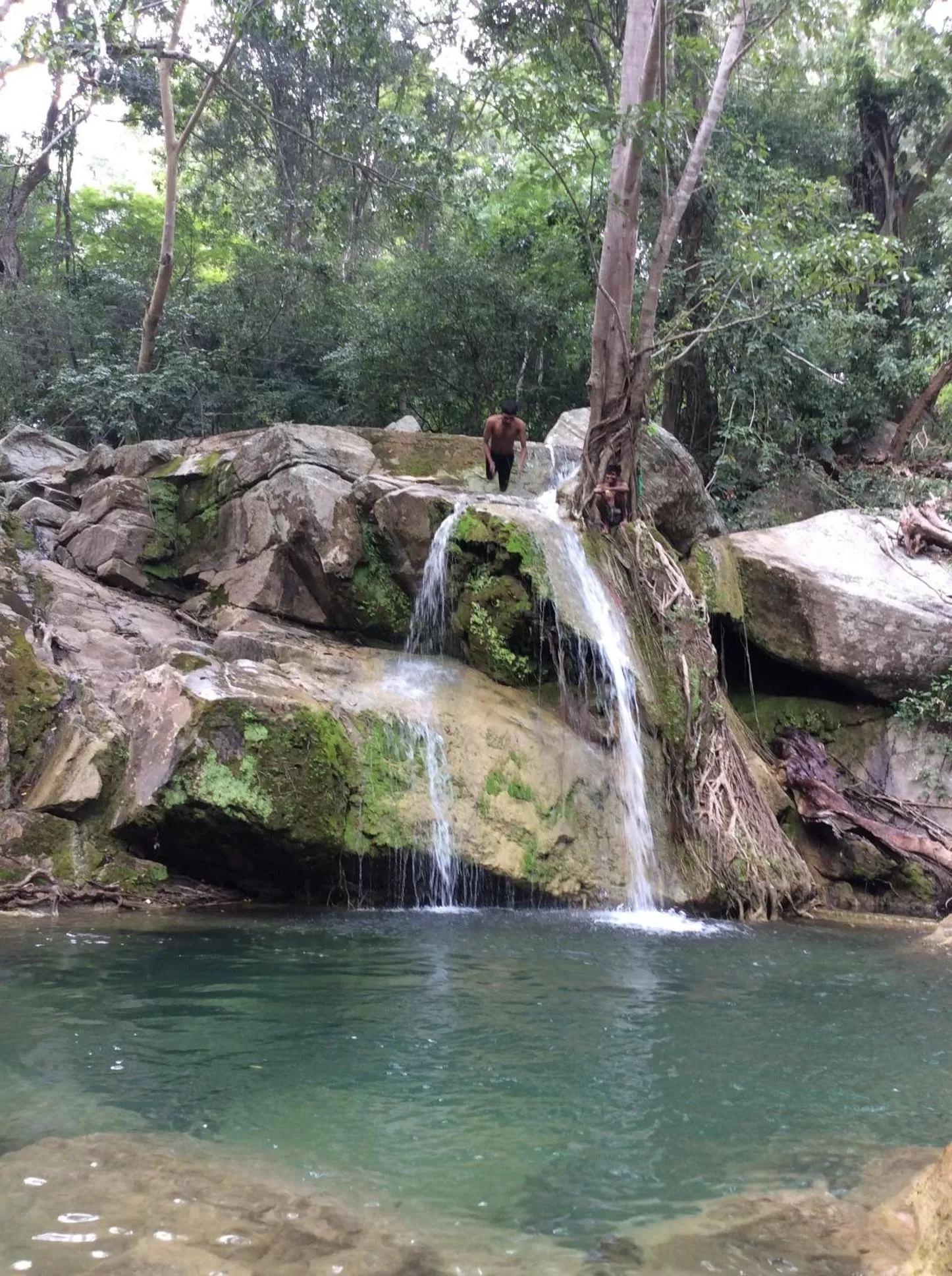 Natural Landscape in Feelin' good Resort