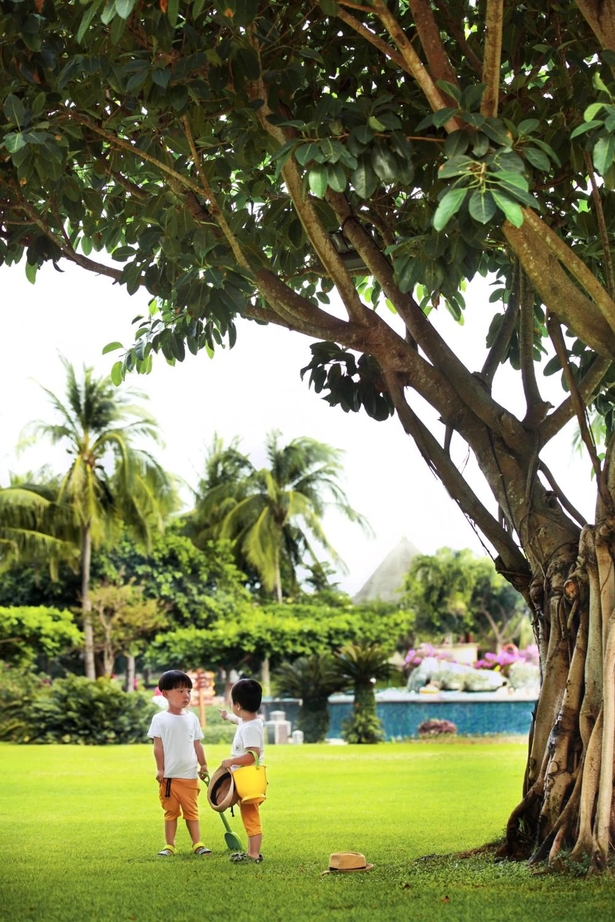 Natural landscape in Horizon Resort & Spa Yalong Bay-Yalong Bay Central