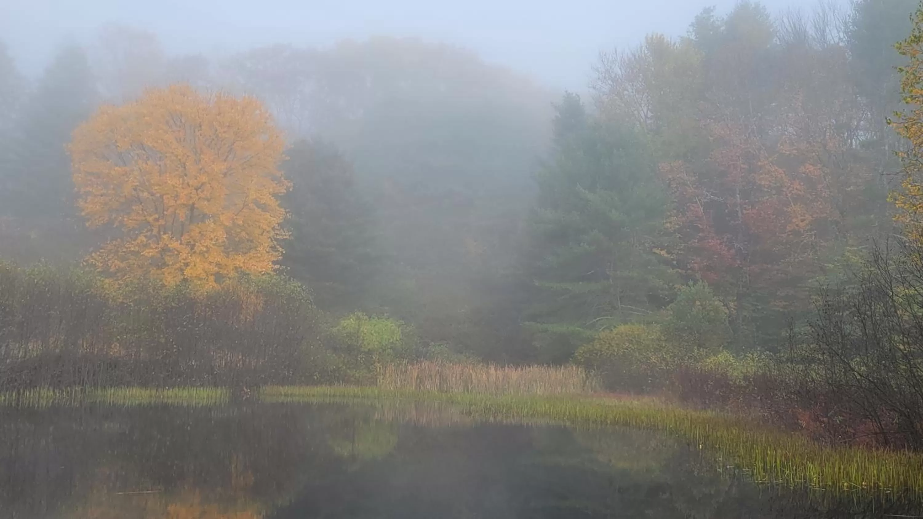 Landmark view in Franklyn Farm Inn