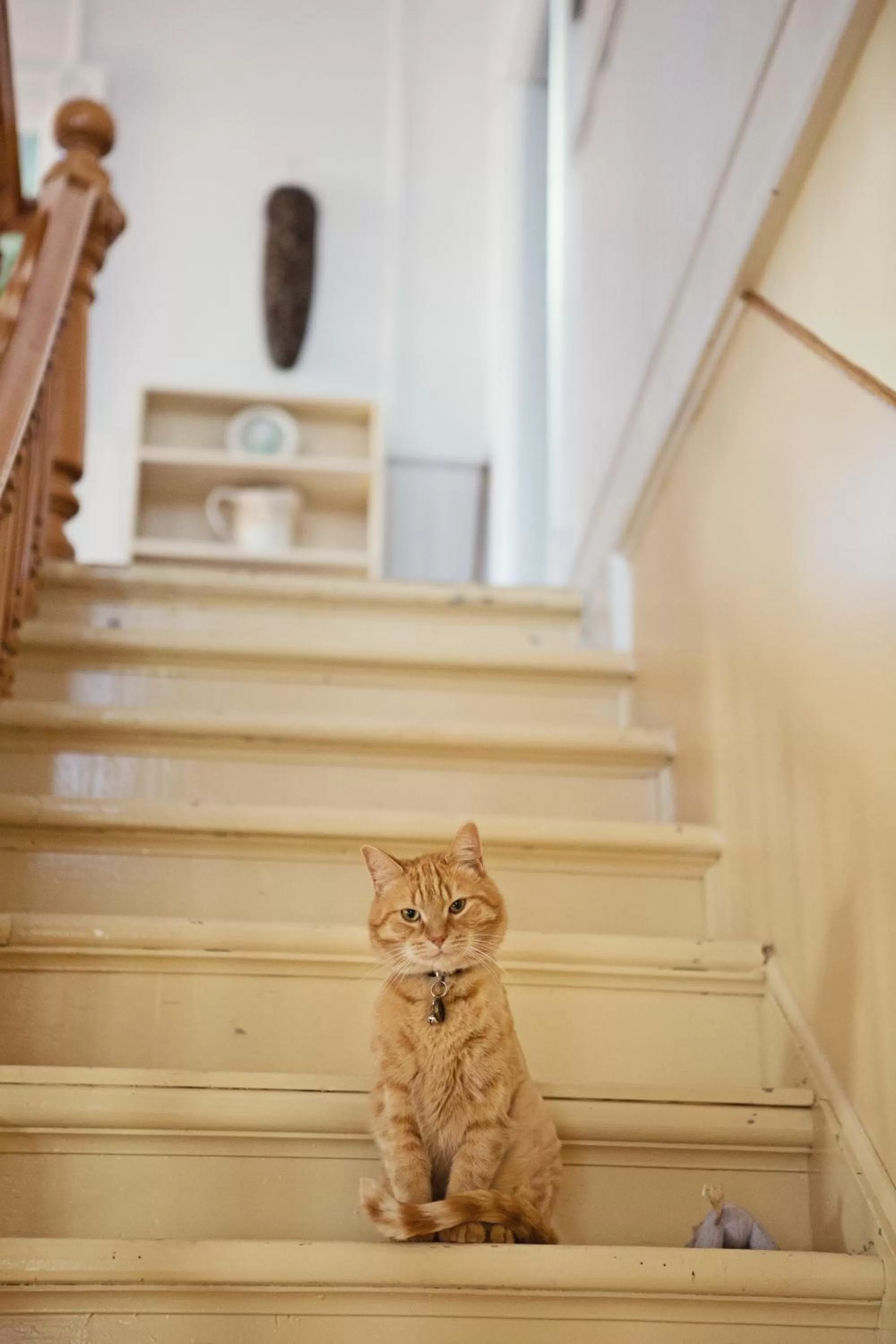 Decorative detail in Auberge Carpe Diem