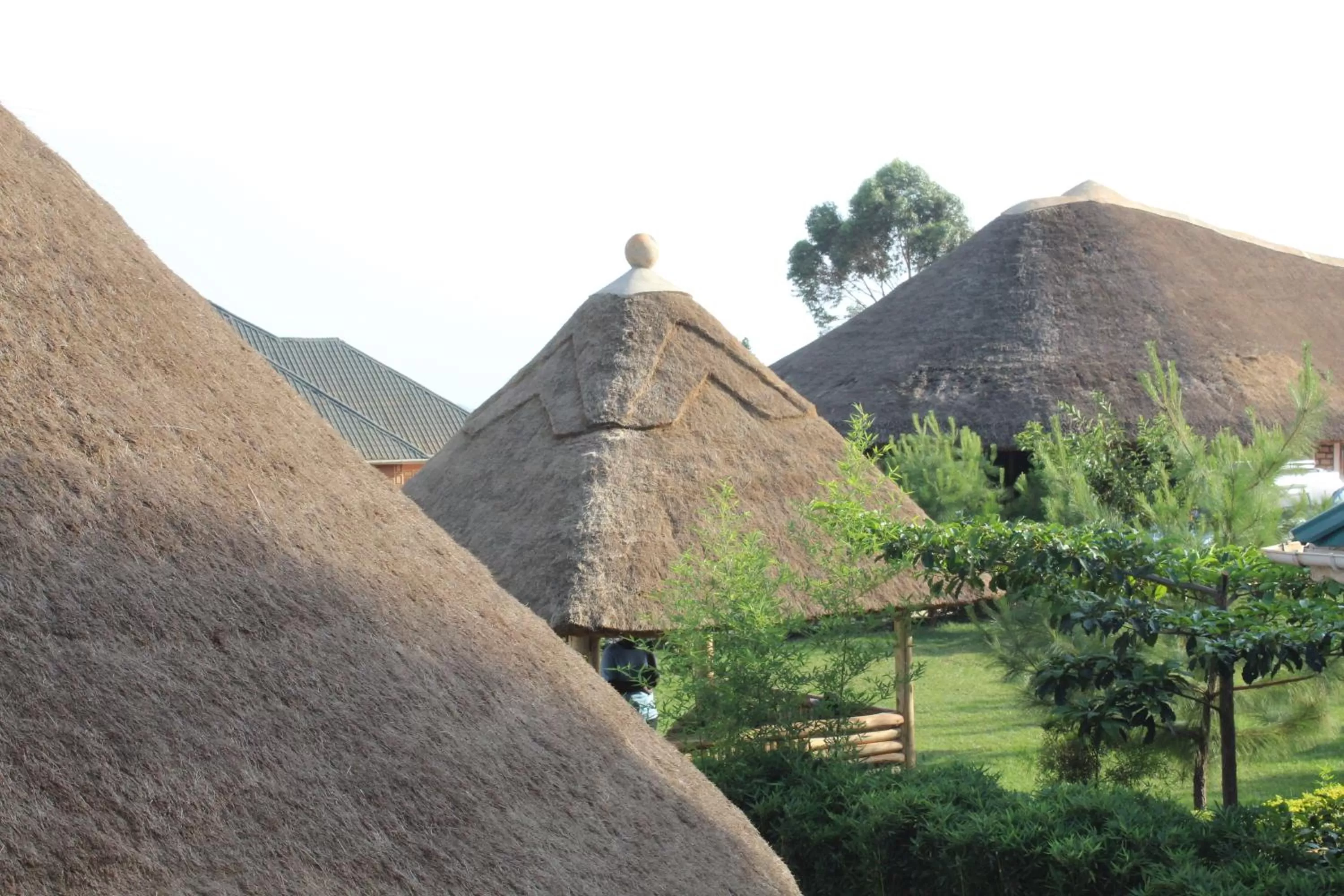 Property Building in Elite Backpackers Services