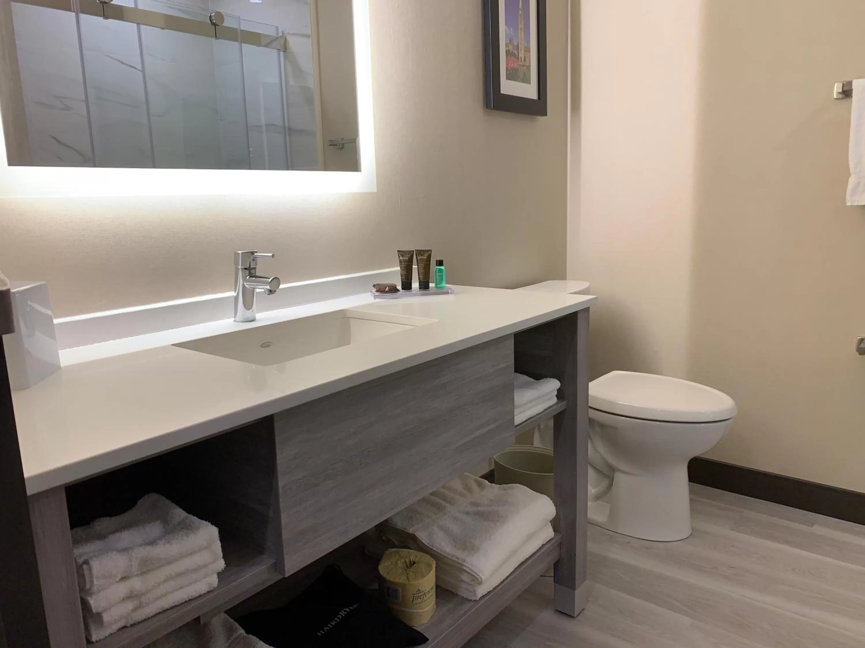 Bathroom in Wingate by Wyndham Kanata West Ottawa