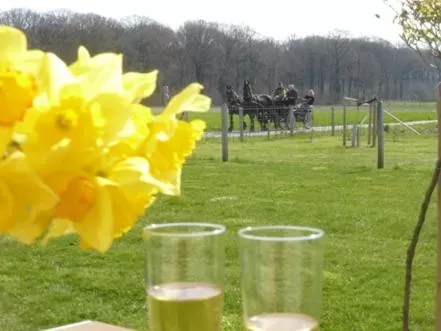 Street view in De Zevende Zon