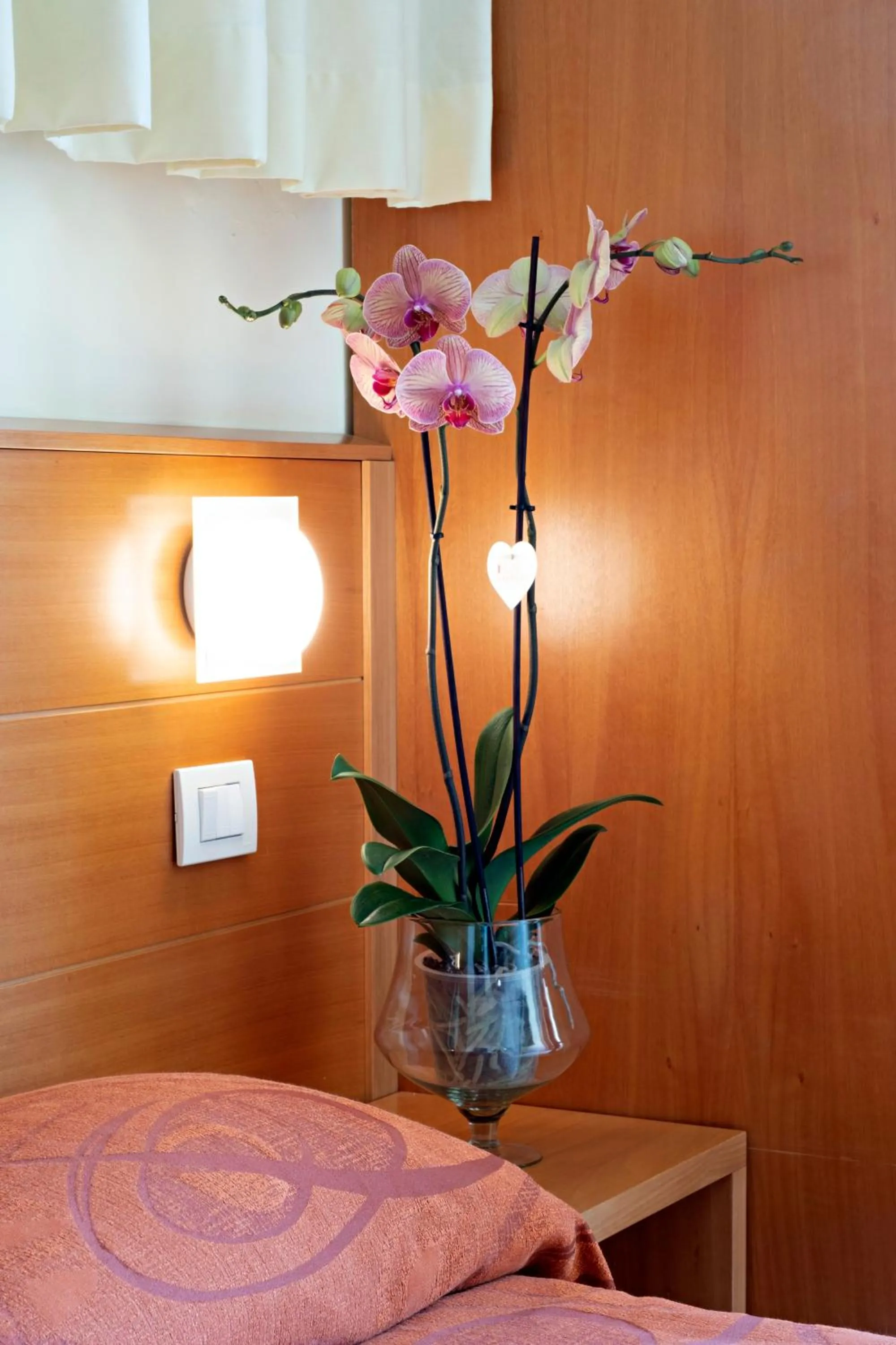 Photo of the whole room in Hotel Mirage