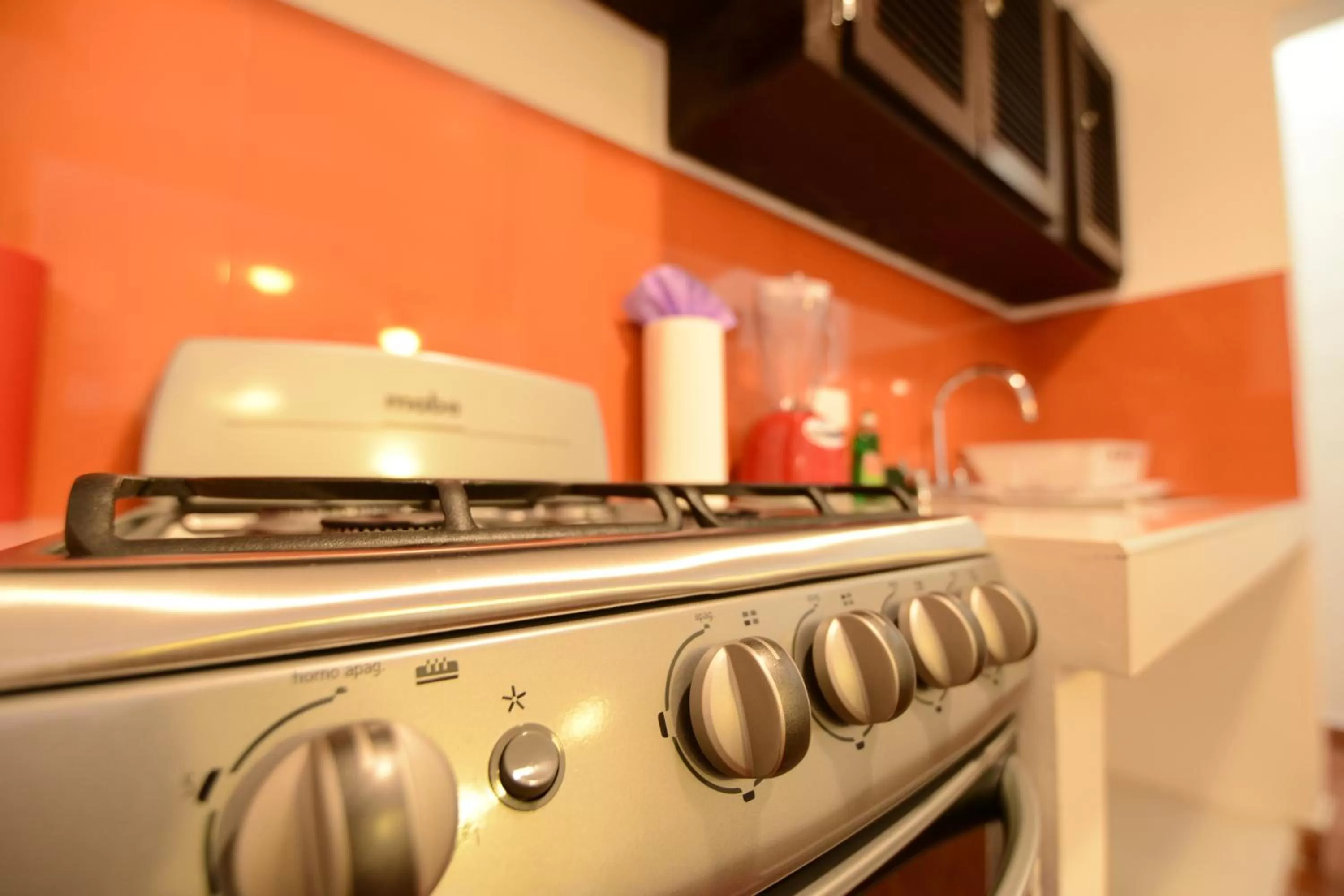 Kitchen or kitchenette in Hotel Villas Colibrí Suites & Bungalows