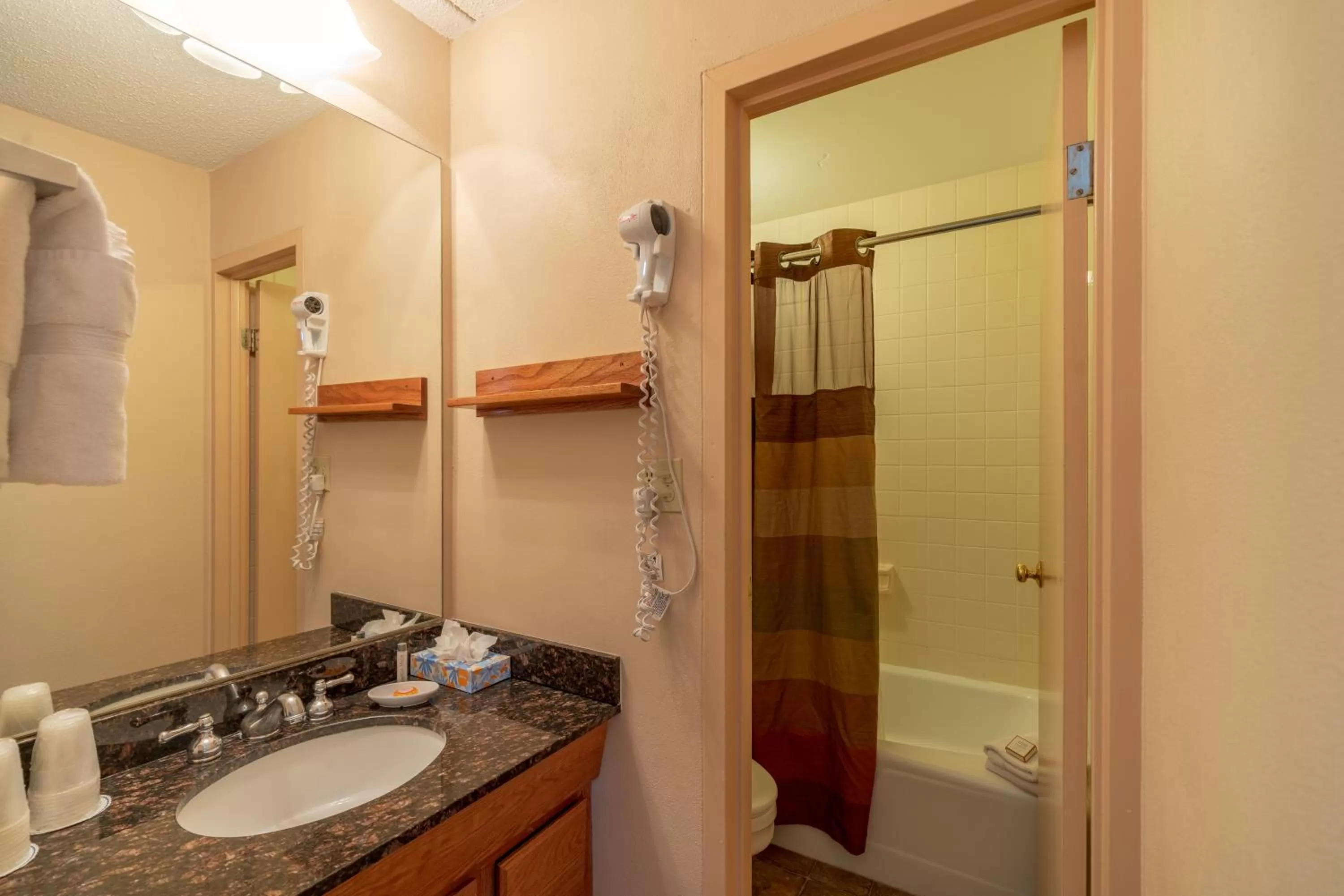 Shower in Mountain Chalet Snowmass