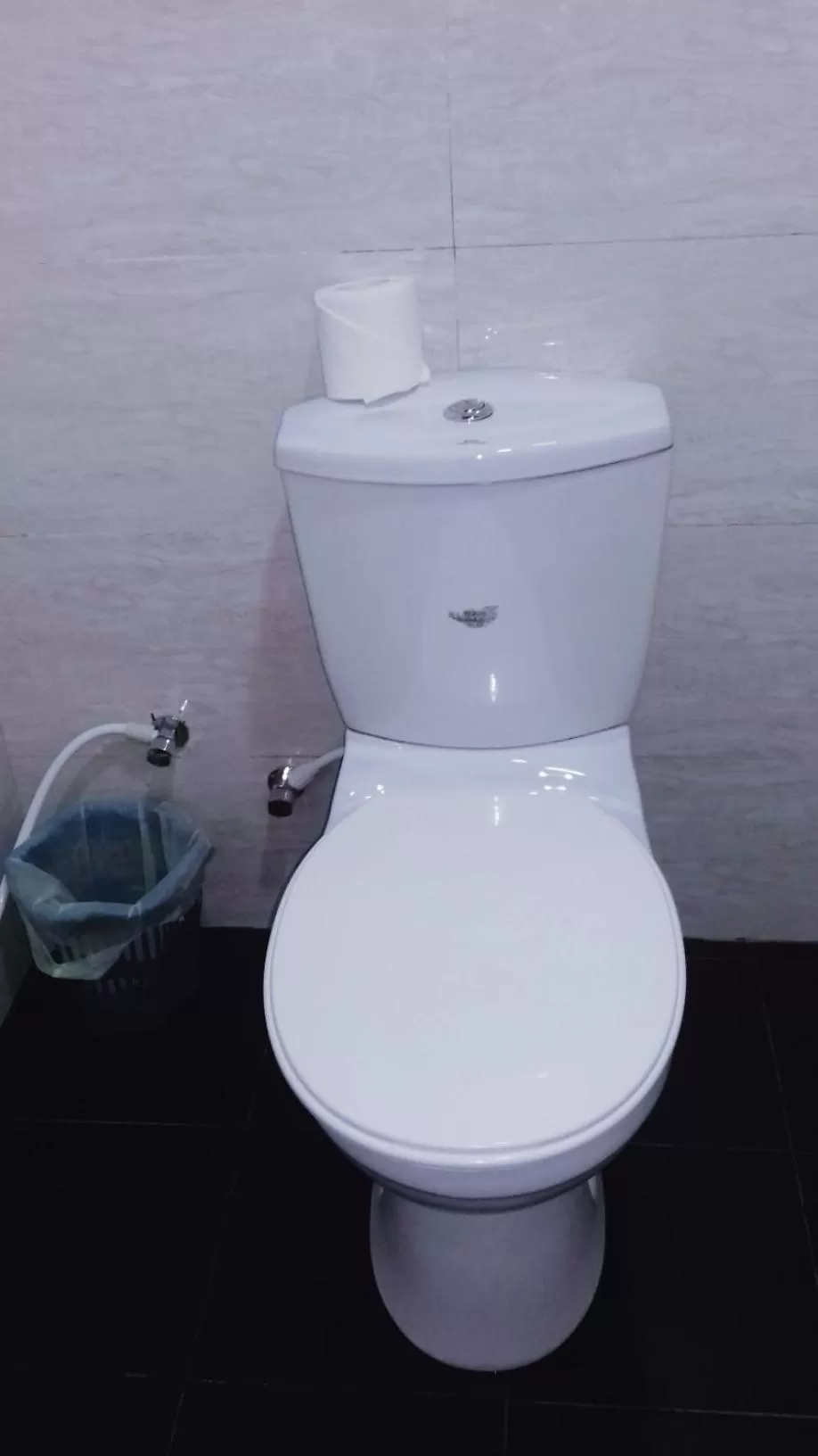 Toilet in Villa DeLorenta