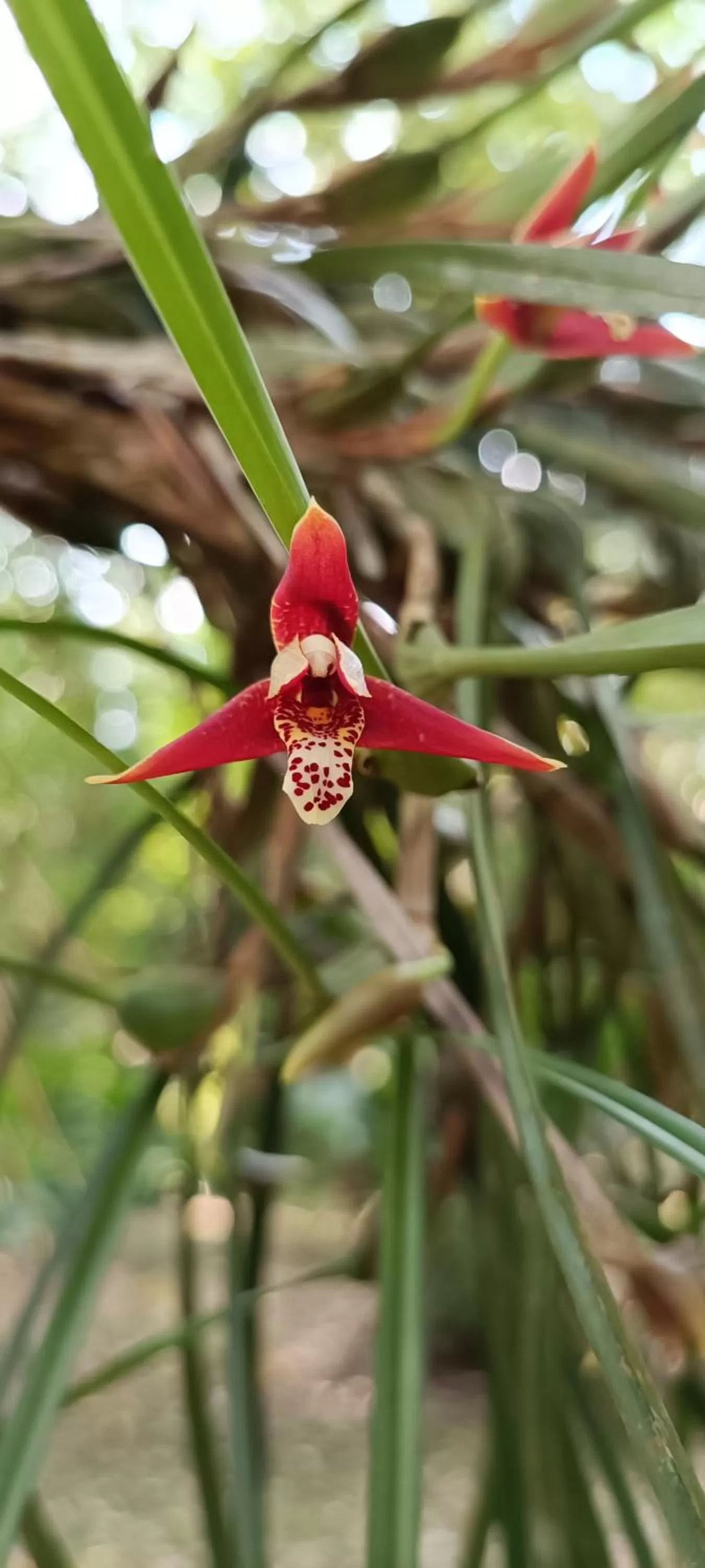 Day, Other Animals in Sun Creek Lodge