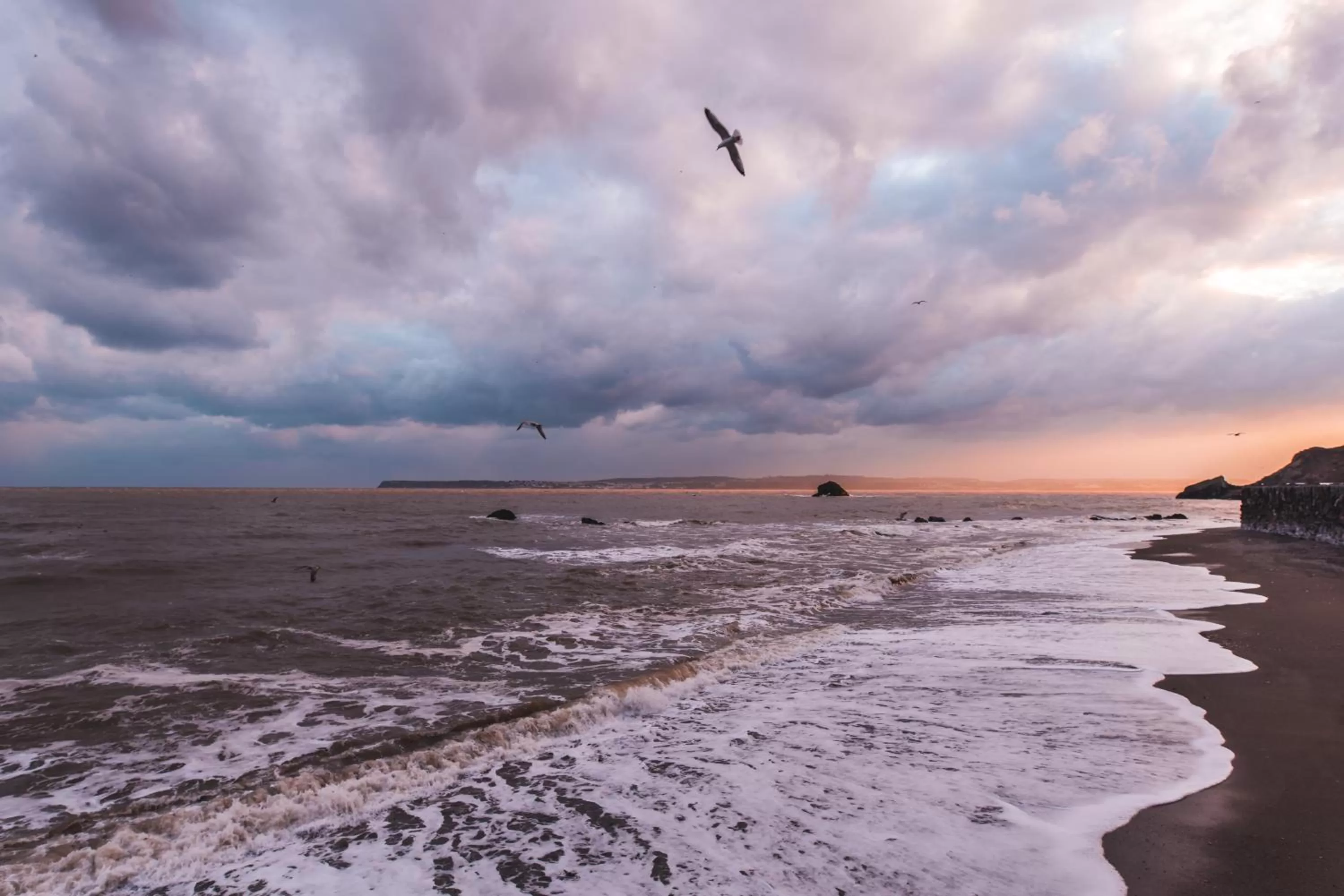 Beach in Palm Grove Apartments