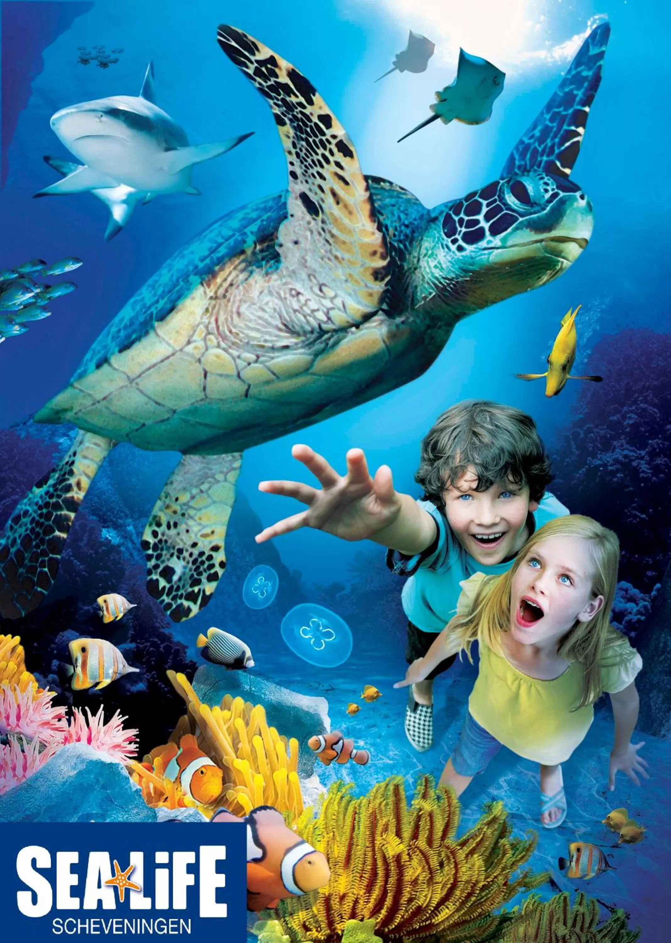 Logo/Certificate/Sign in Hotel Sebel