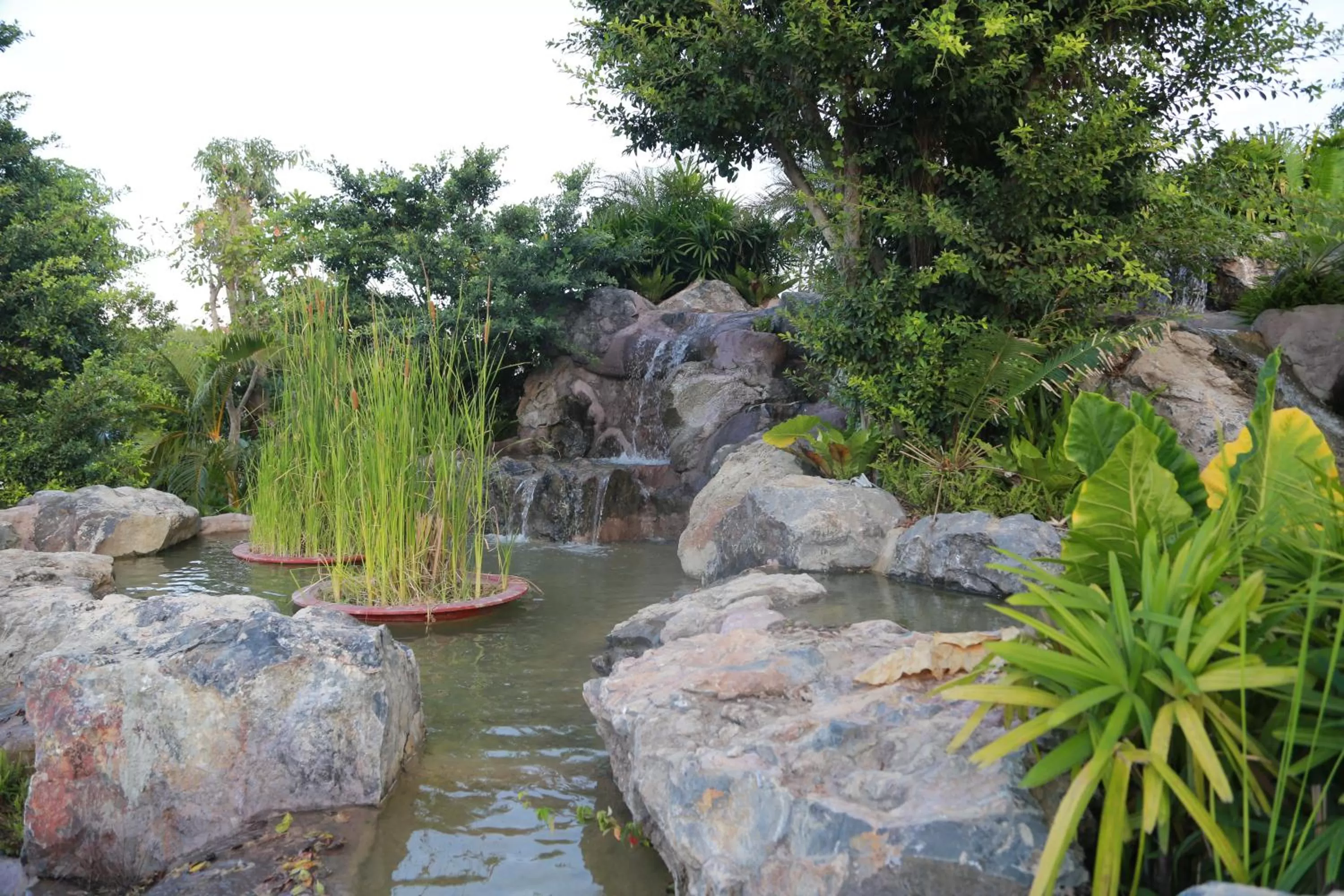 Garden, Natural Landscape in Try Palace Resort-Kep