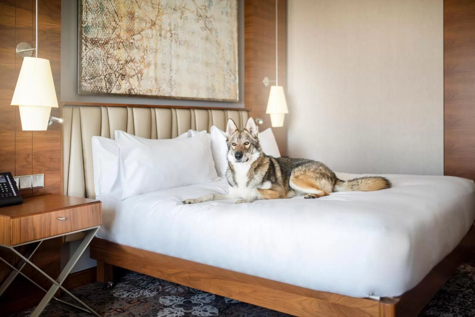 Bed in DoubleTree by Hilton Krakow Hotel & Convention Center