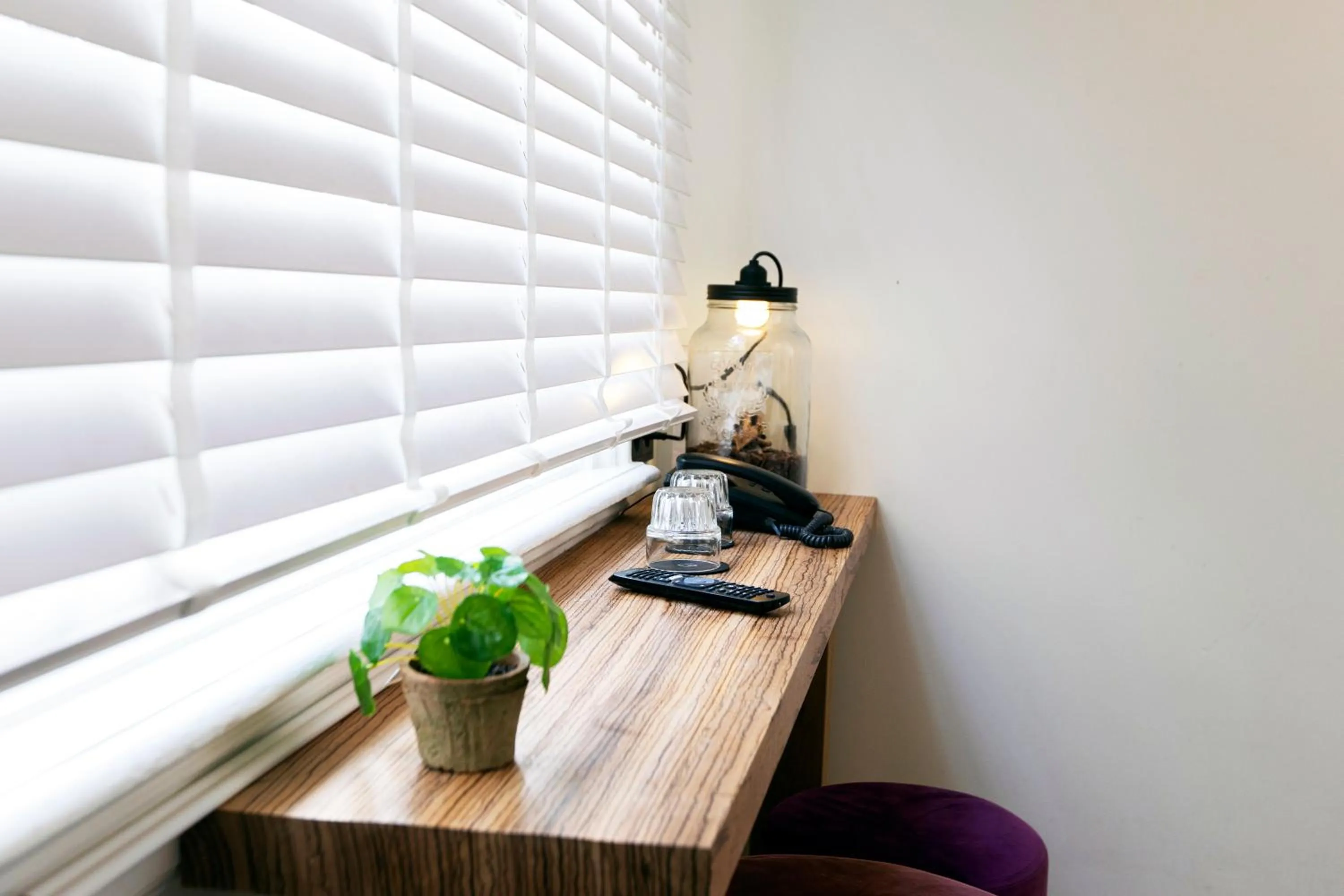 Area and facilities in Quentin Golden Bear Hotel