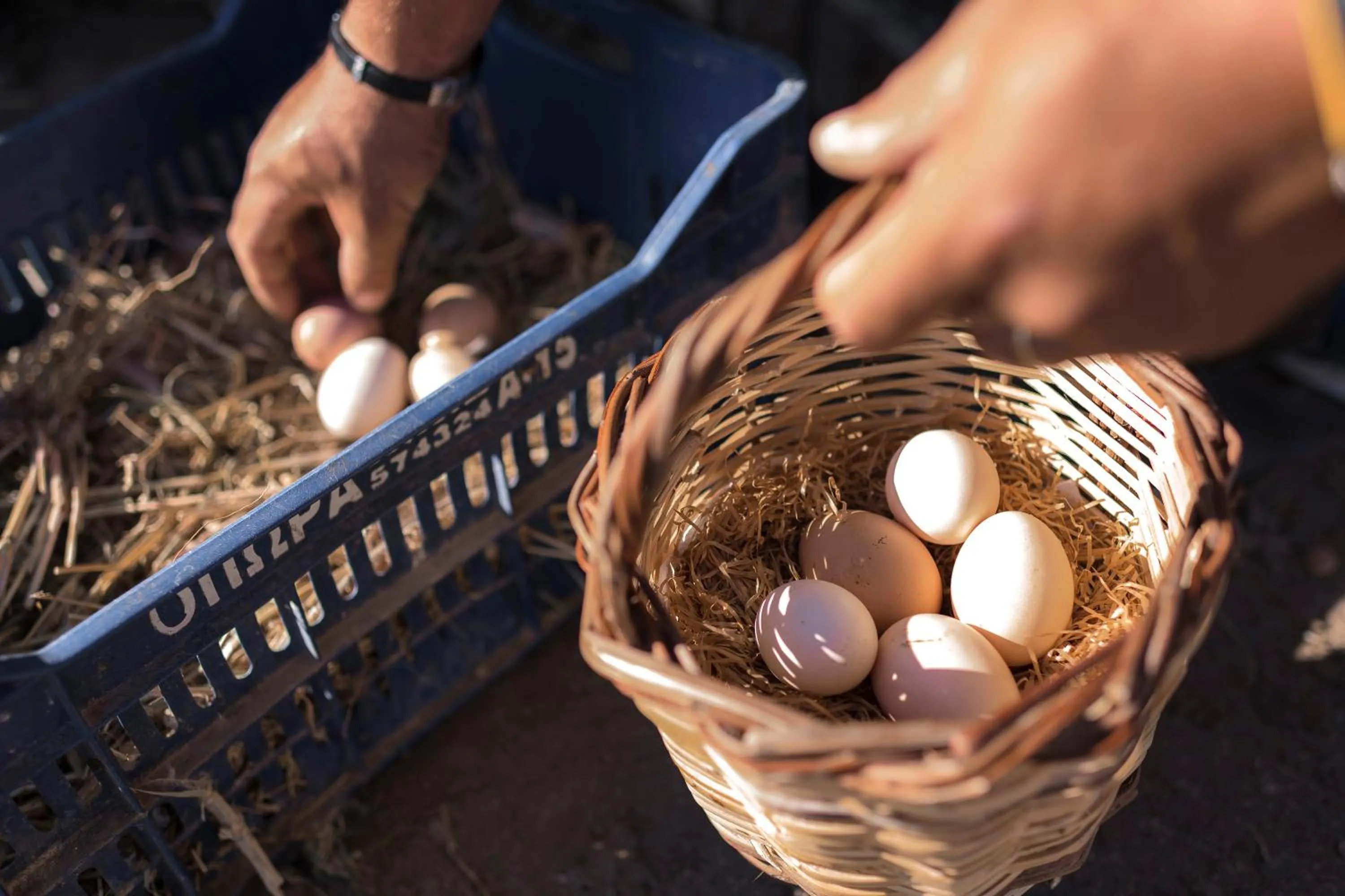 Breakfast in Sperveri Boutique Hotel