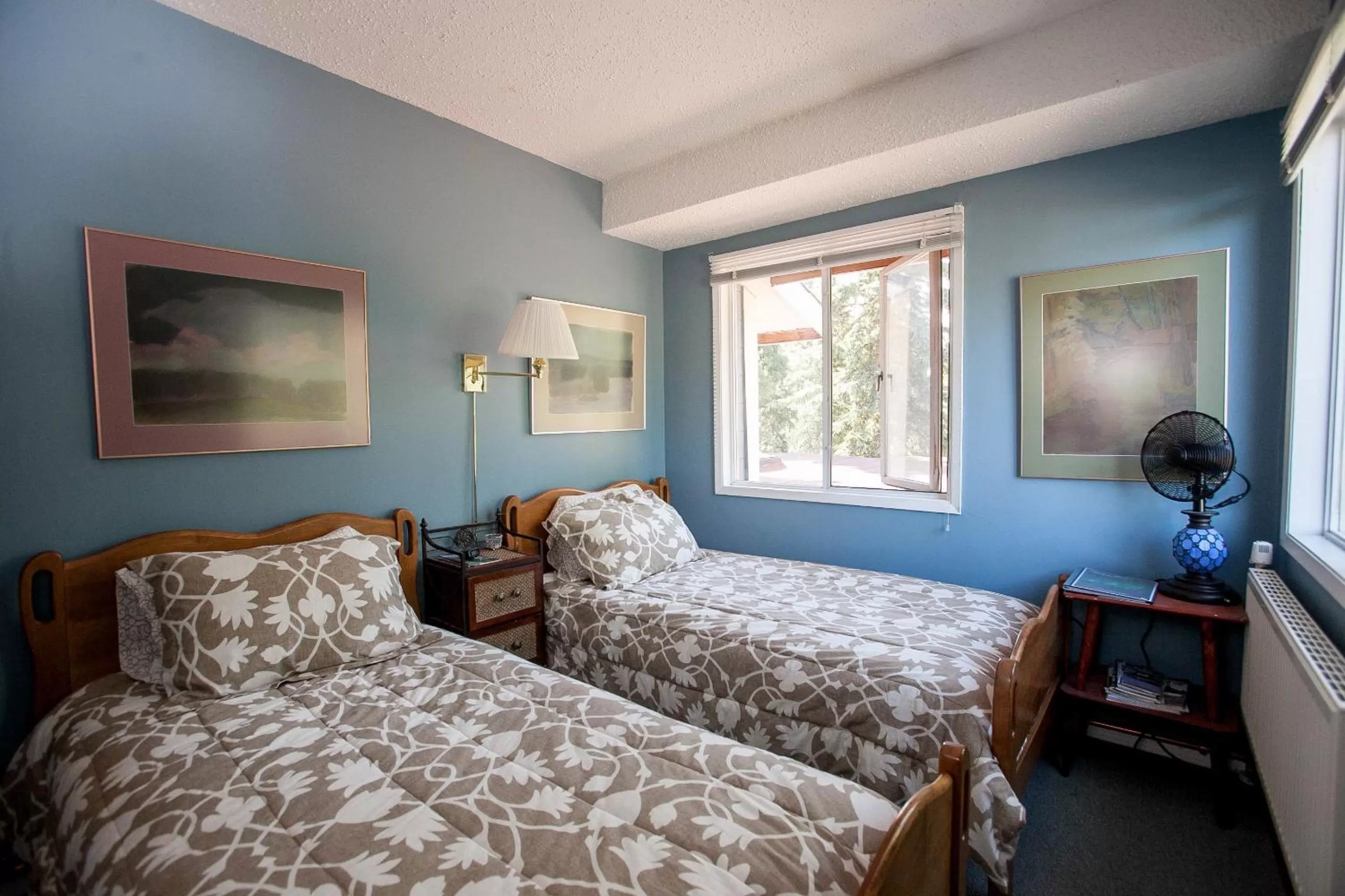 Twin Room in Hidden Valley Bed and Breakfast