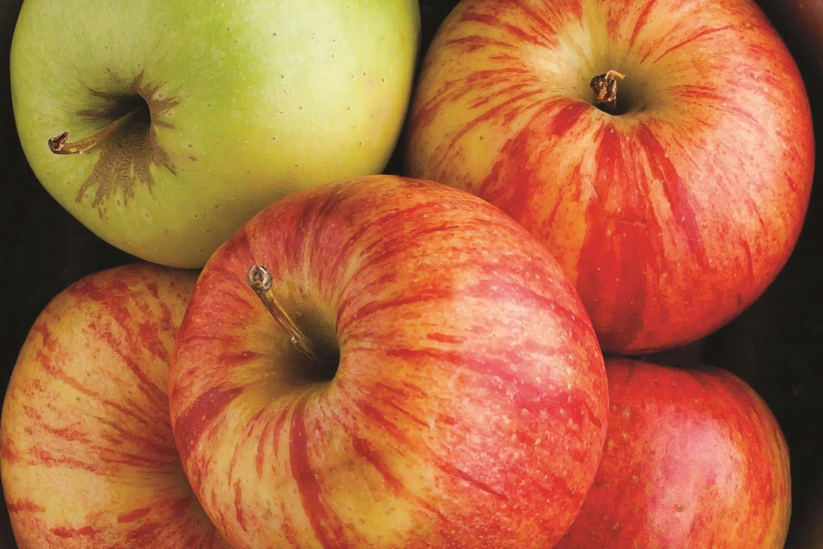 Other in La Quinta by Wyndham Las Vegas Summerlin Tech