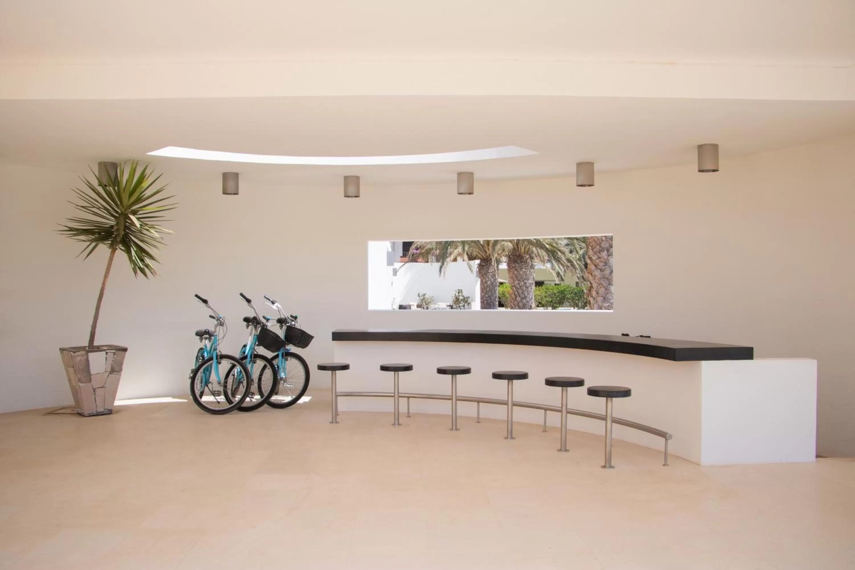 Lounge or bar in Hotel Dunas de Sal