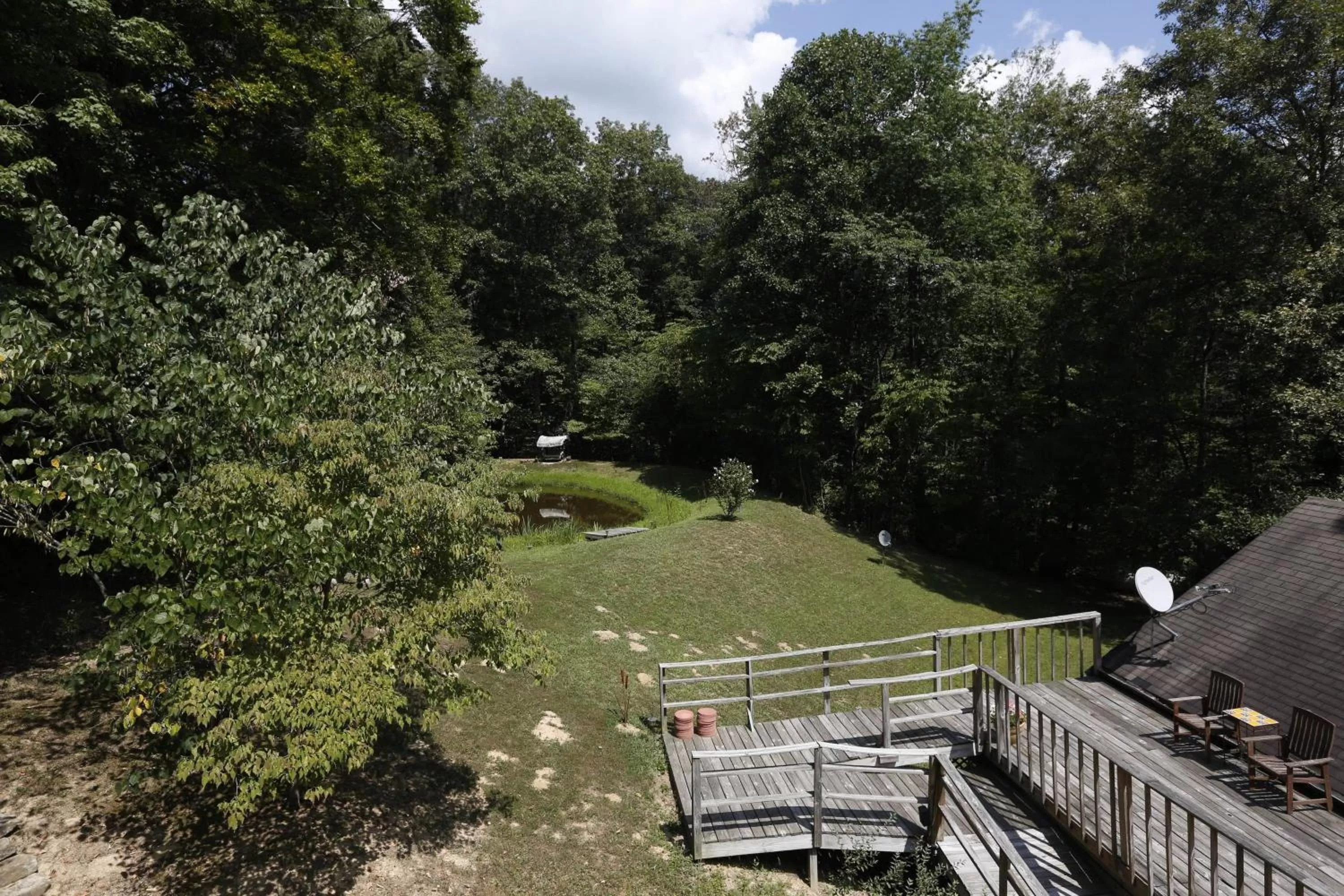 View (from property/room) in Lil Black Bear Inn