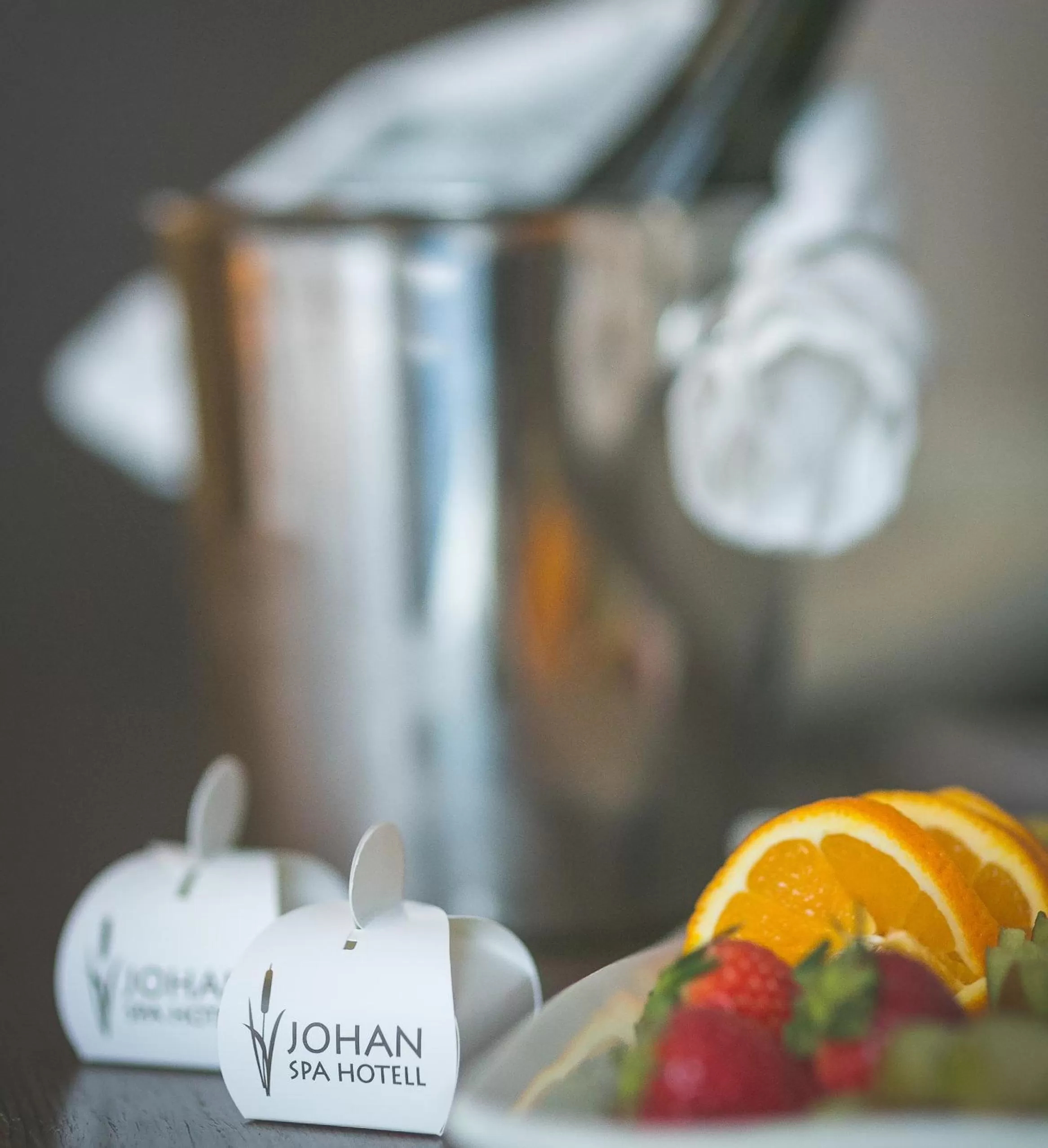 Property logo or sign in Johan Design & SPA Hotel