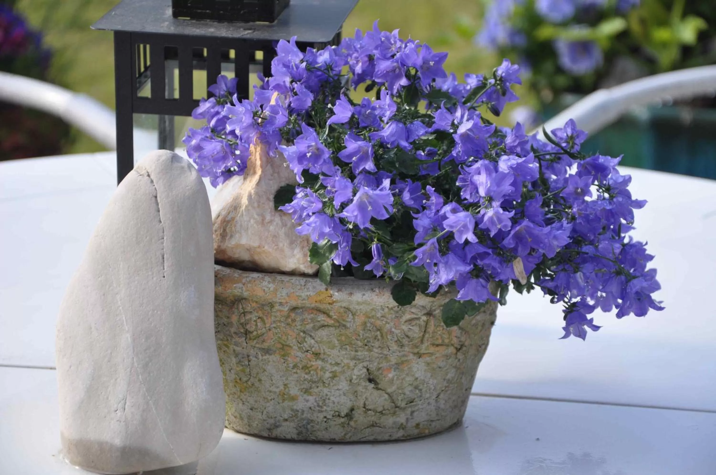 Other in Bed and Breakfast Bavaria München