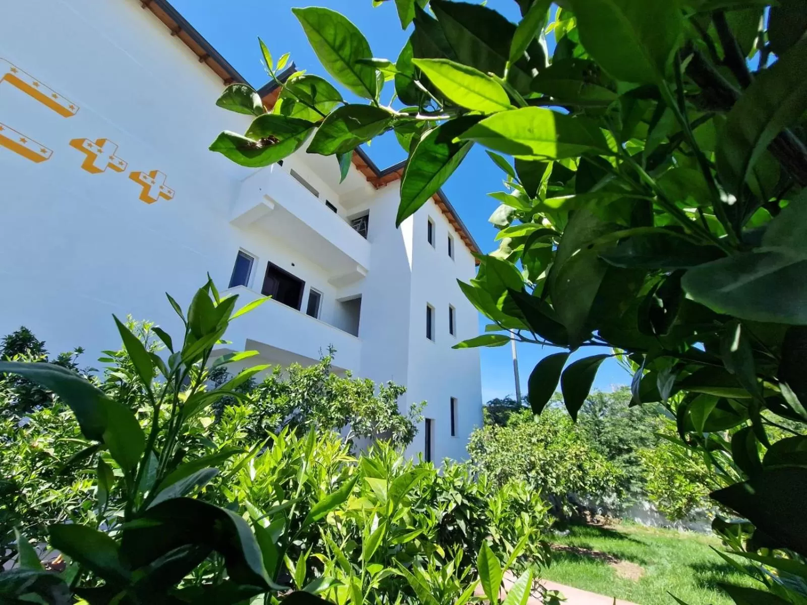 Property Building in Vila C++